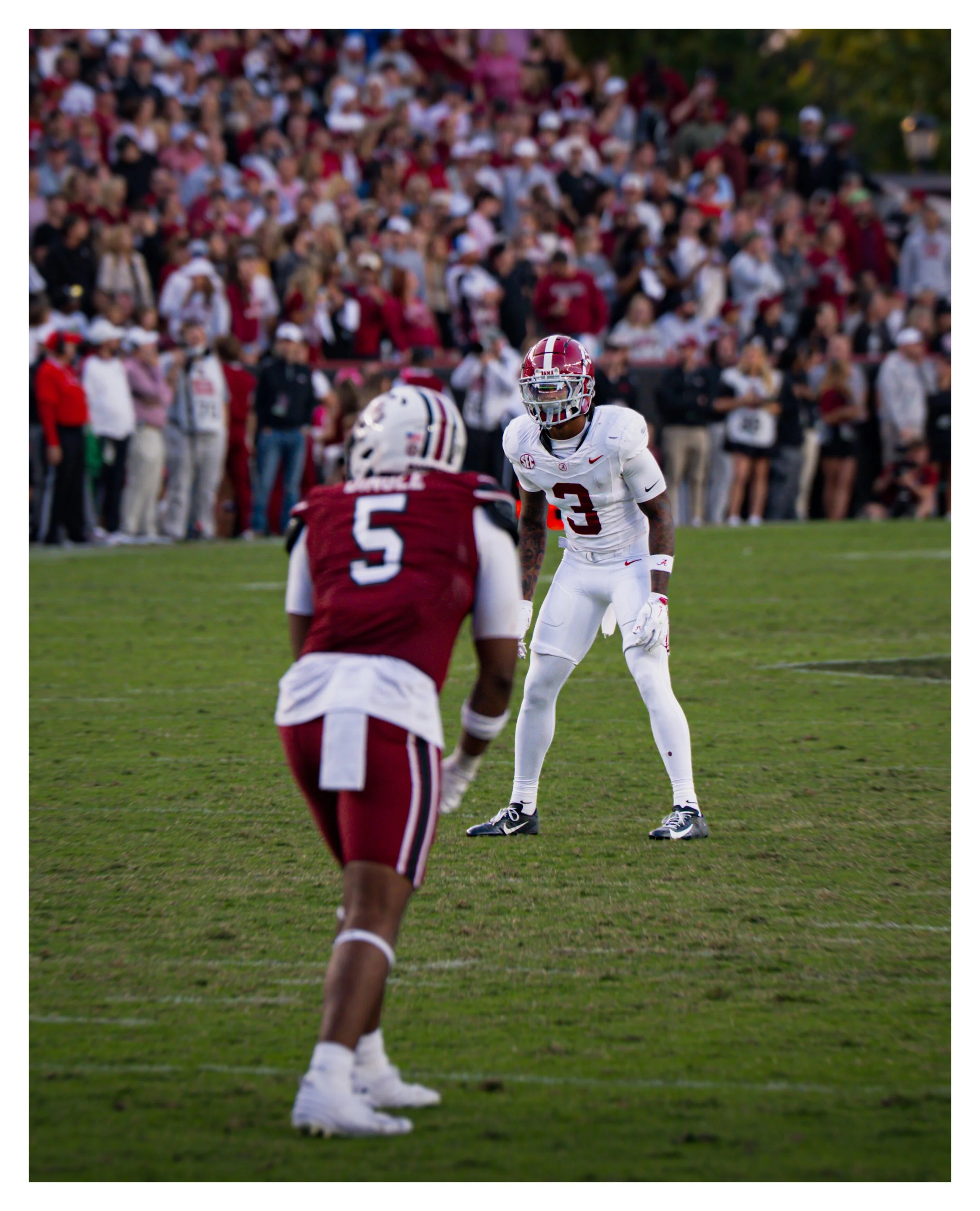 DSC09879 v2e (Cocoa Butter) blur border.jpg