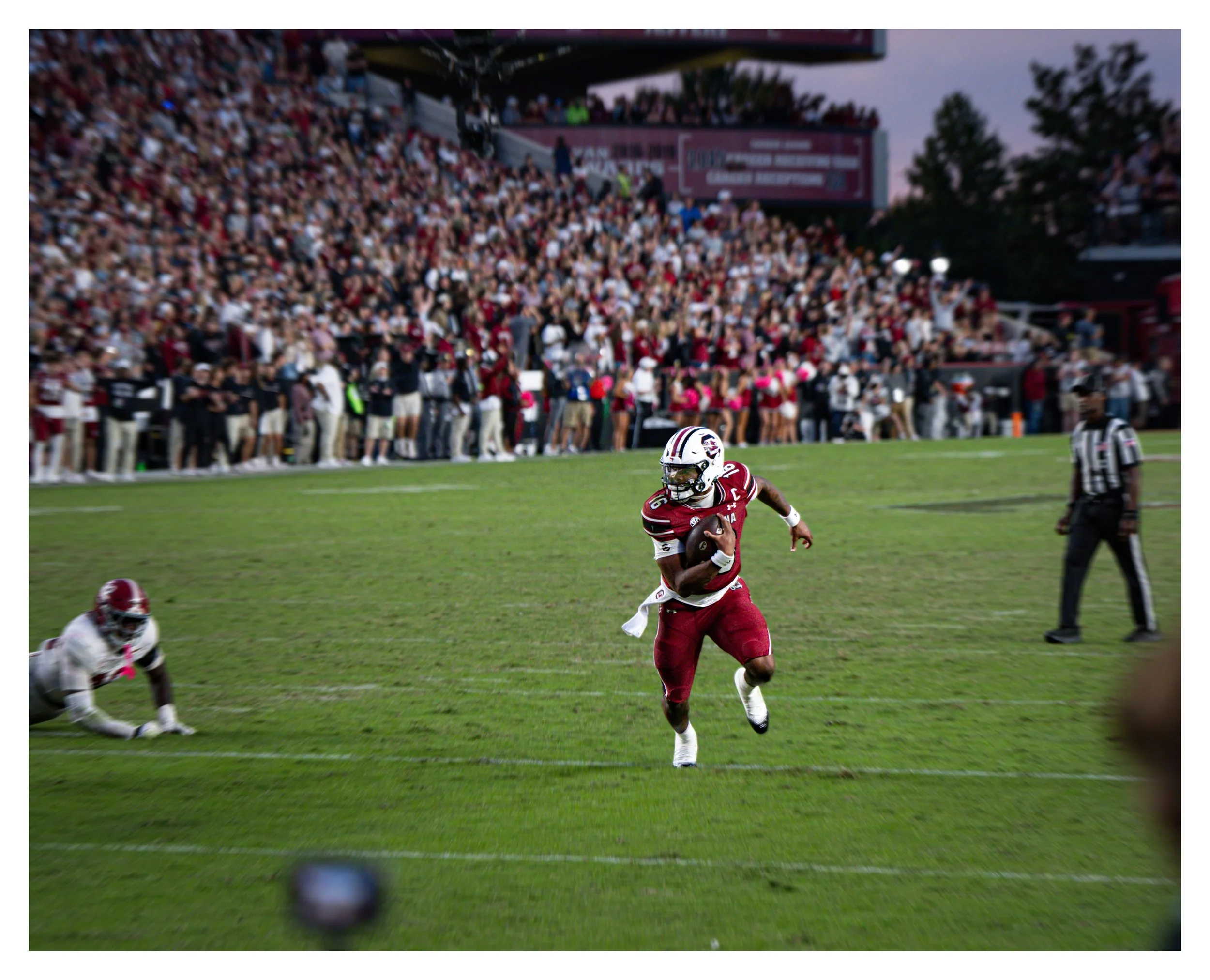 DSC00038 v2e2 (Cocoa Butter) blur border.jpg