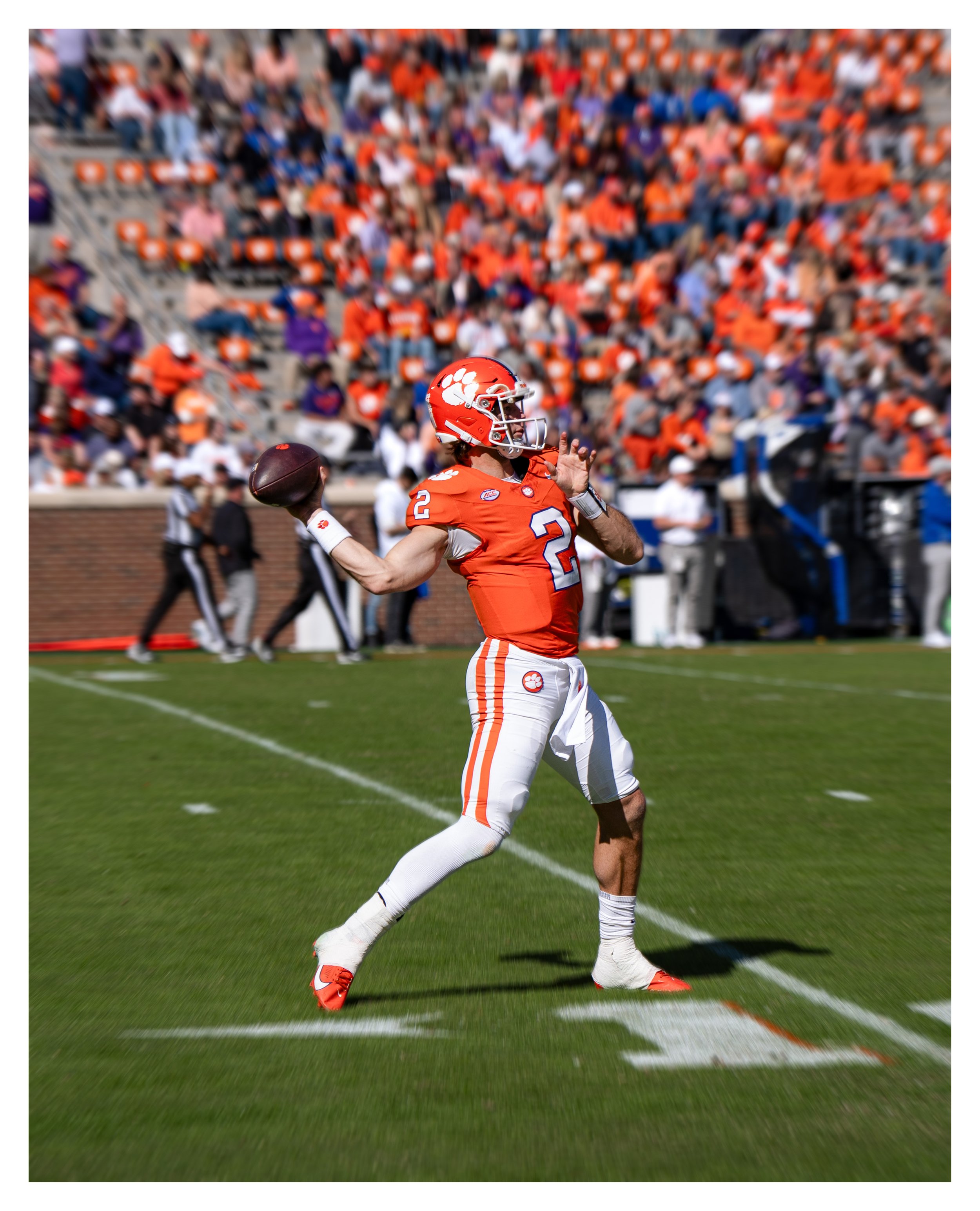 DSC00907 v2e2 (Cocoa Butter) blur border.jpg