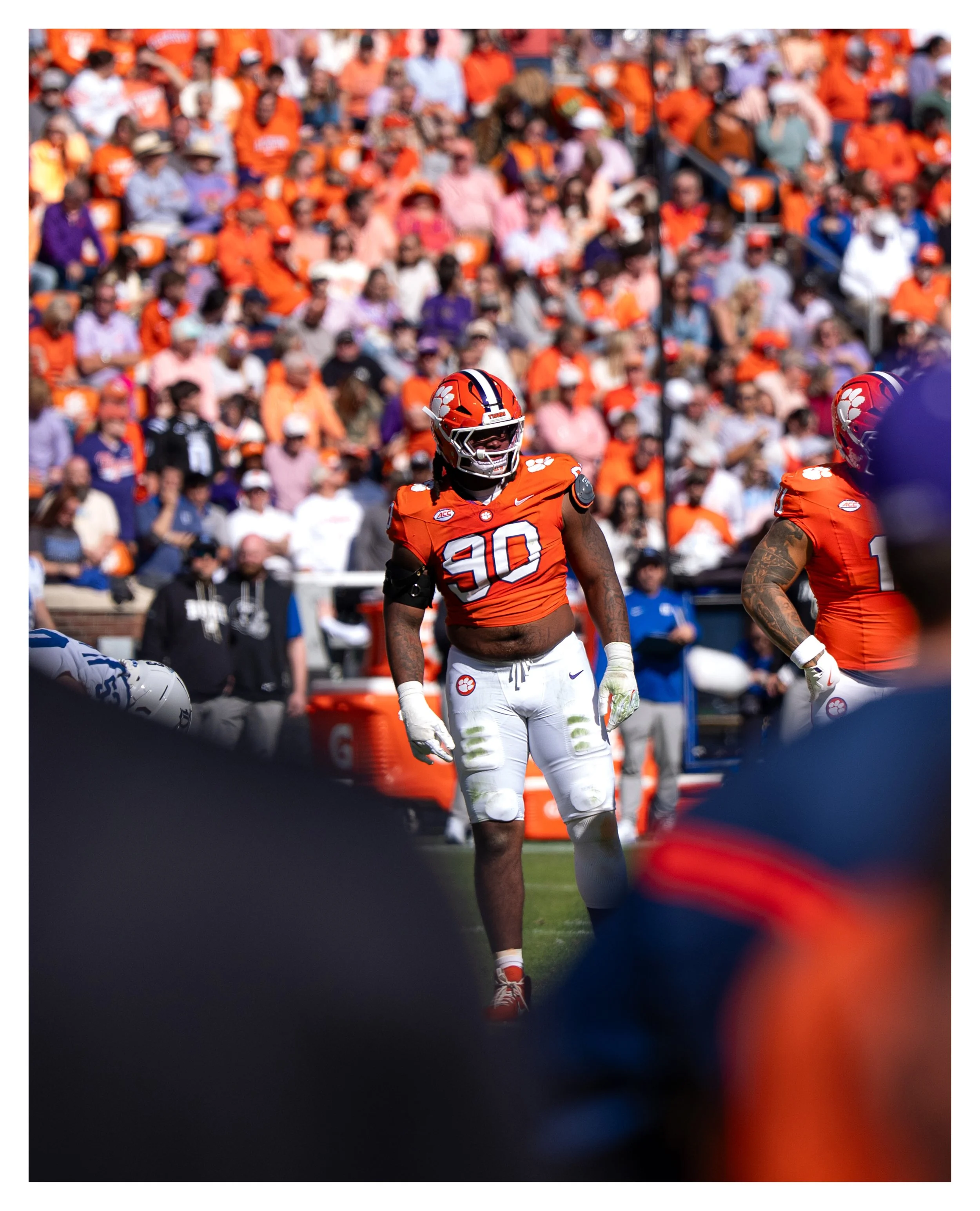 DSC00434 v2e (Cocoa Buter) border.jpg