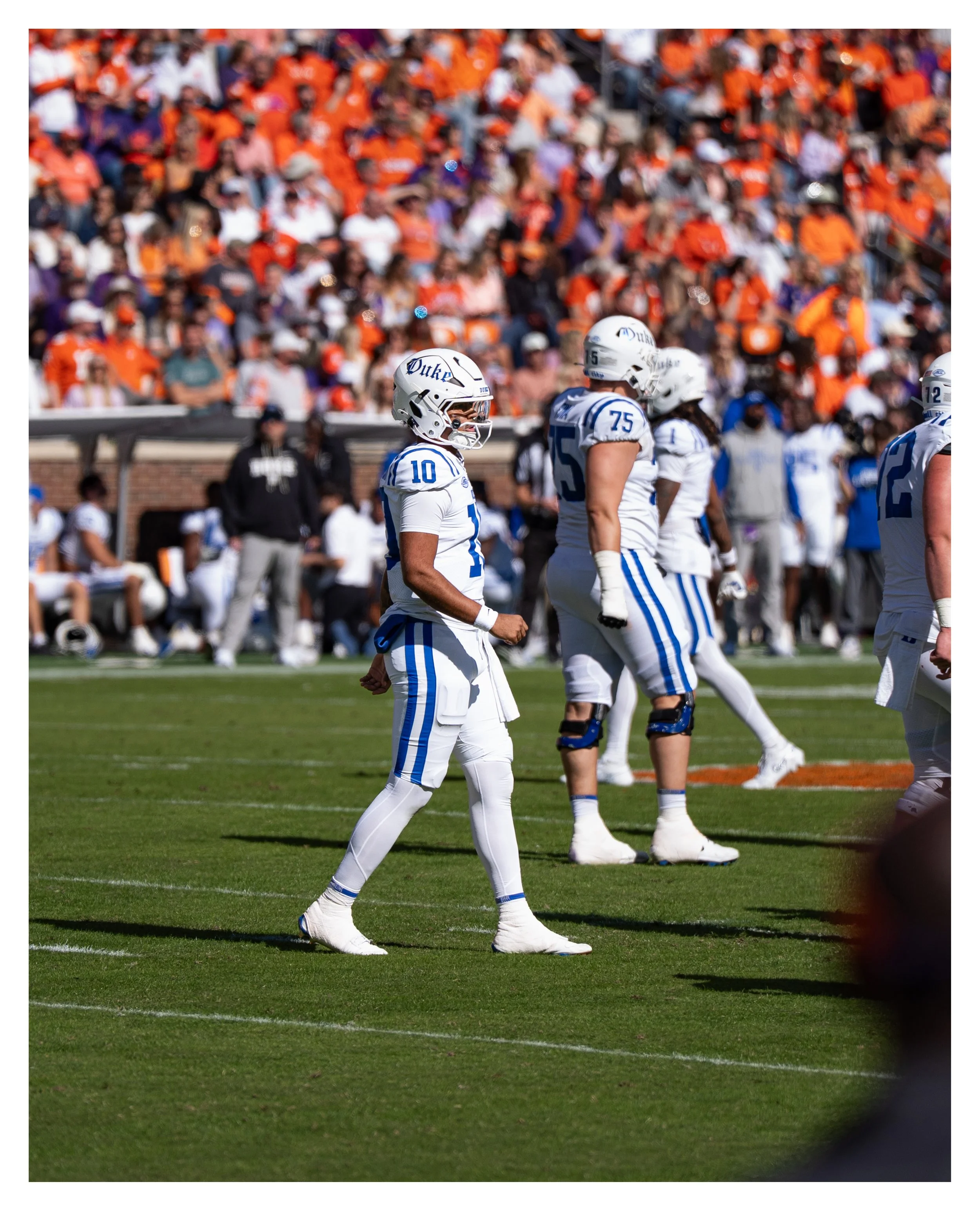 DSC00496 v2e (Cocoa Butter) border.jpg