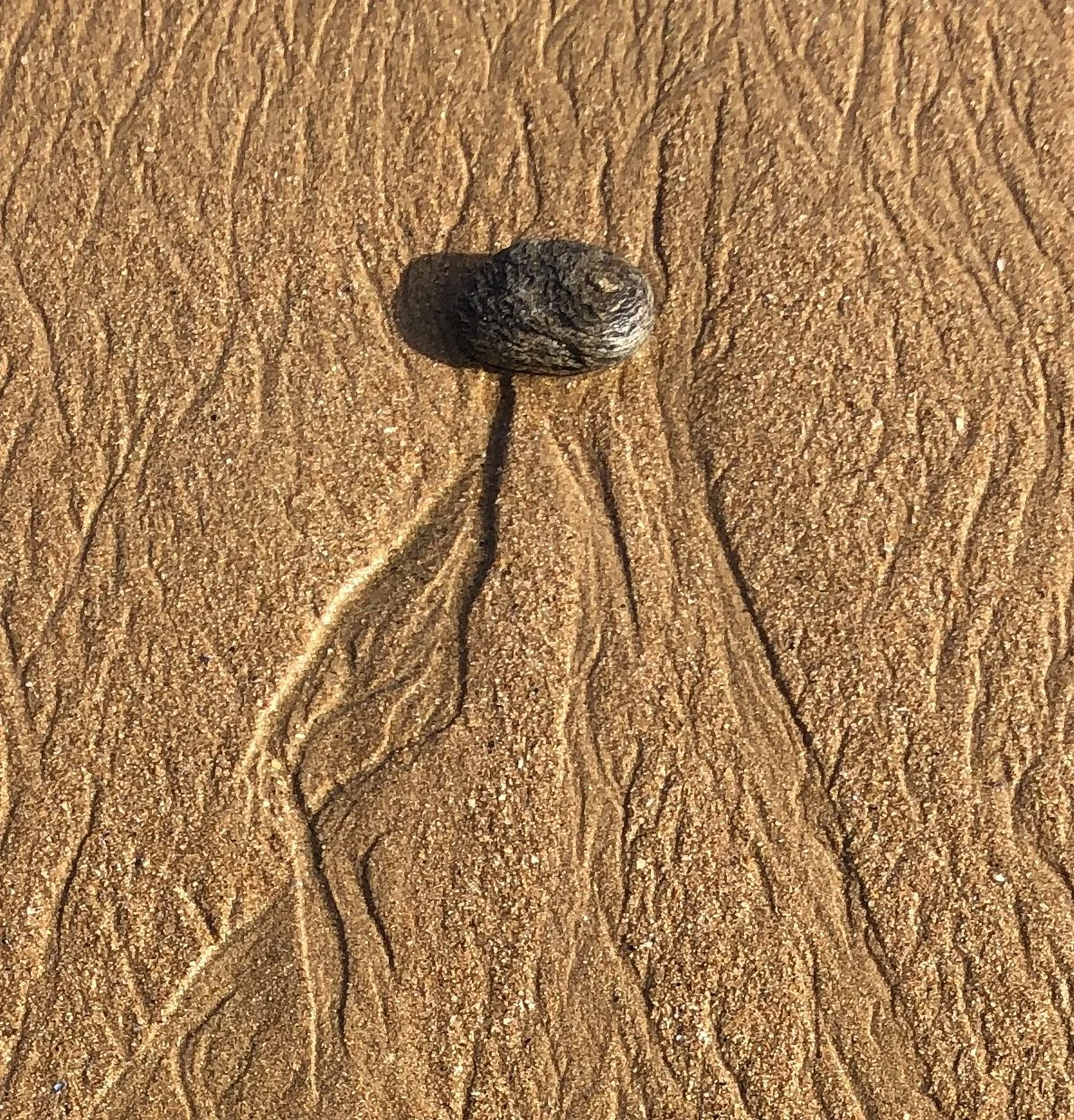 médiumnité et soin énergétique