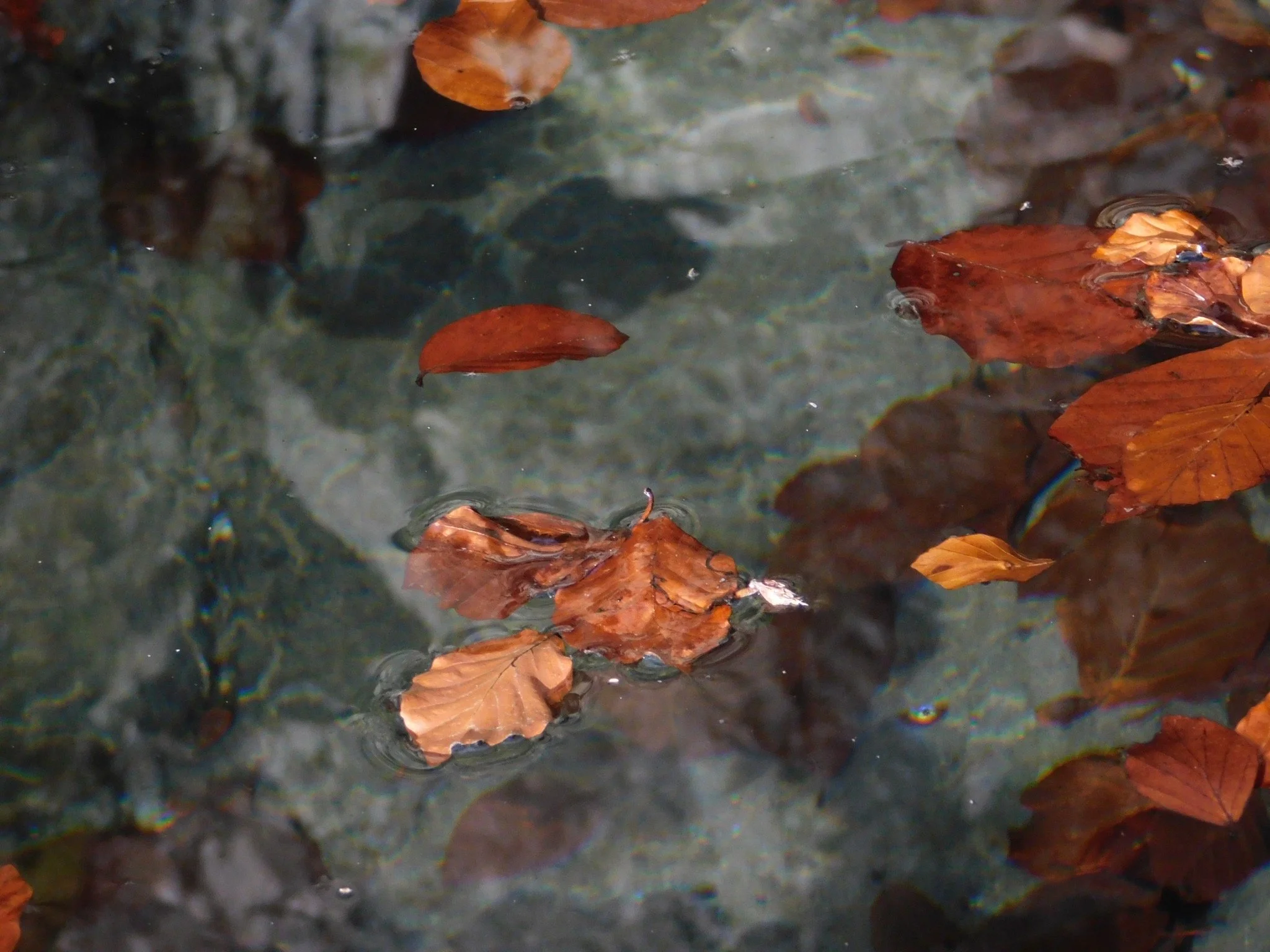 Rituel de soin et de purification par l'eau