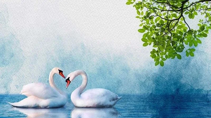 Rare Alignment of Exalted Benefics in Eclipse Season