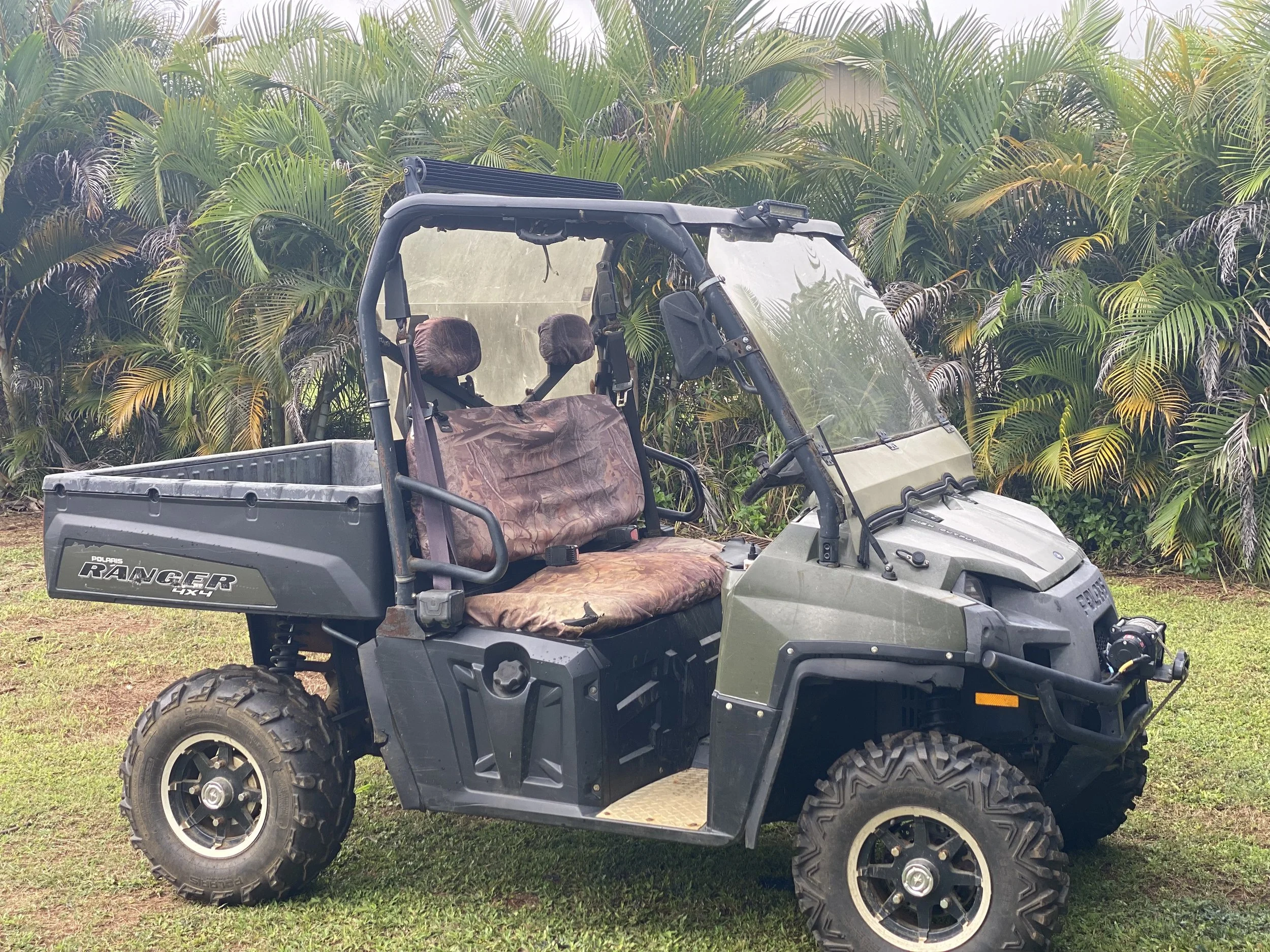 A Polaris Ranger 4x4 utility vehicle parked on grass with a background of lush green palm plants.