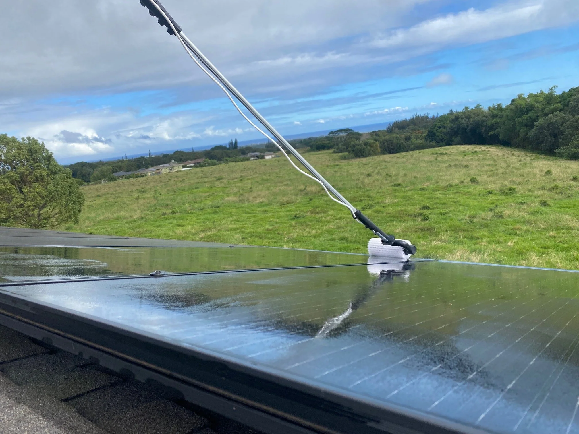 Solar panels installed on a sloped roof with shingles, surrounded by palm trees and neighboring houses.