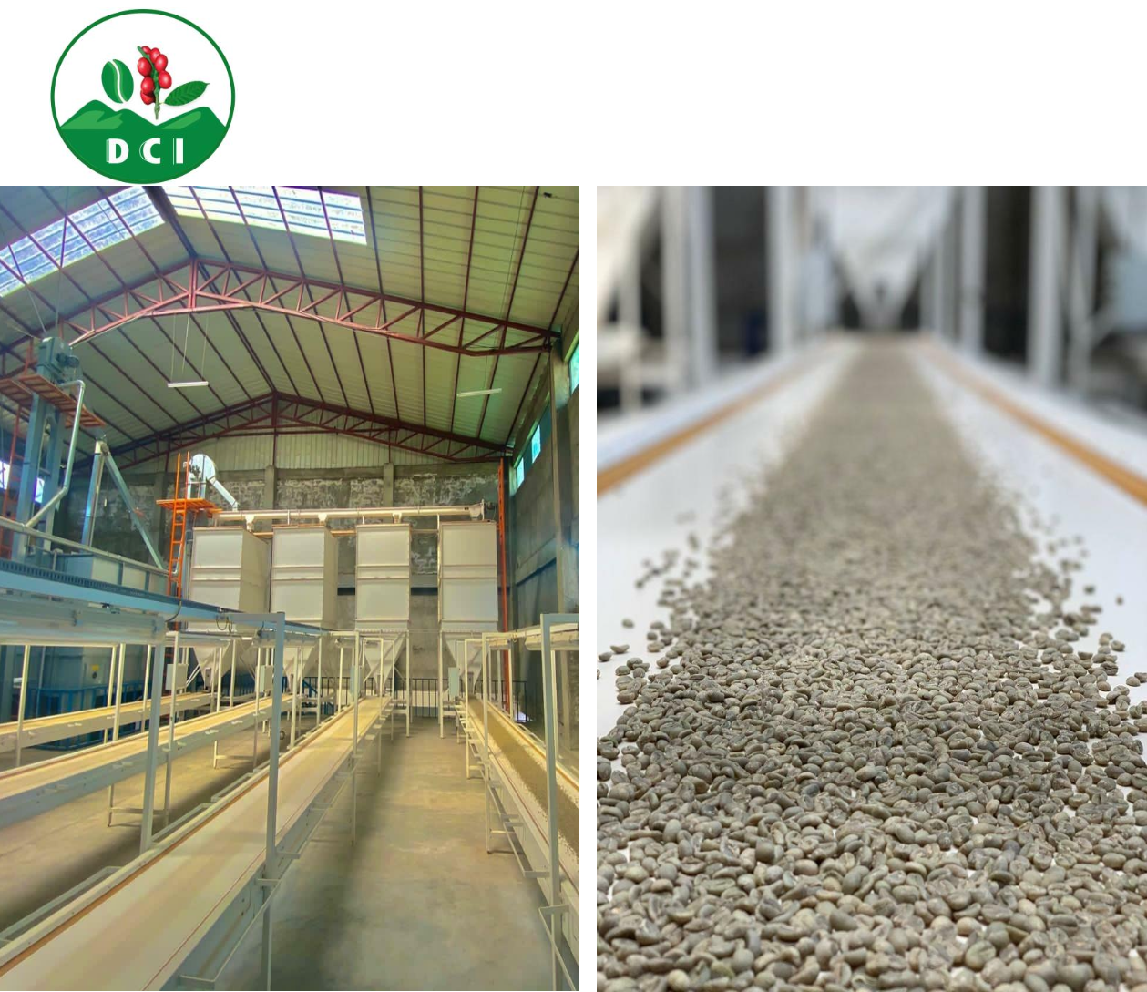 Indoor facility with machinery likely used for processing or packaging agricultural products, and a conveyor belt carrying small seeds or grains.