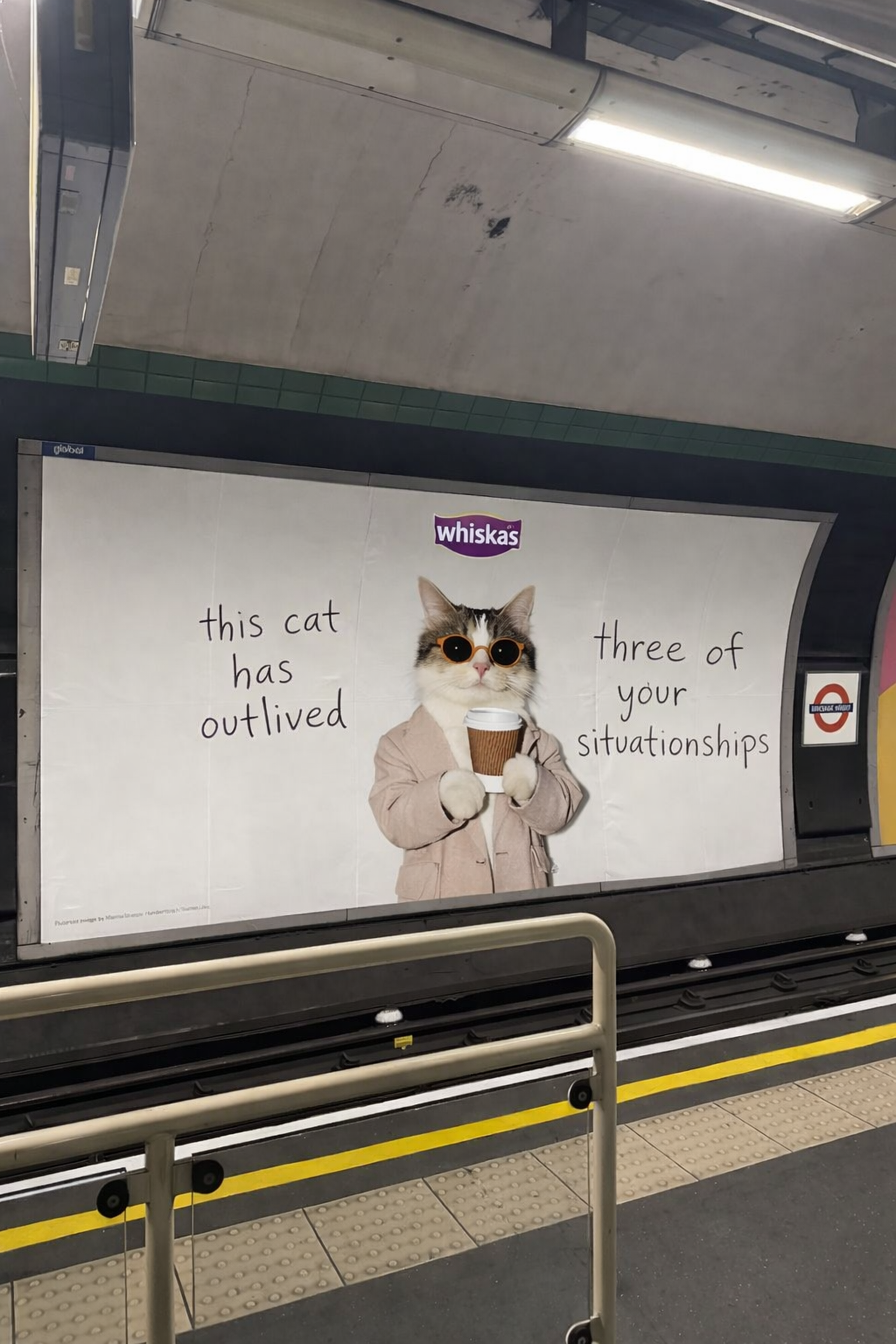 ChatGPT Image Feb 5, 2026, 06_49_27 PM.png