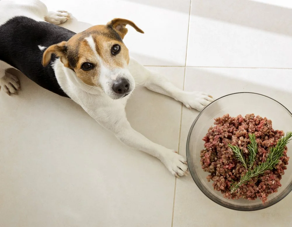Tailored Recipe Consultation