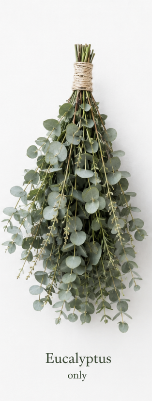 Eucalyptus Banya Whisk