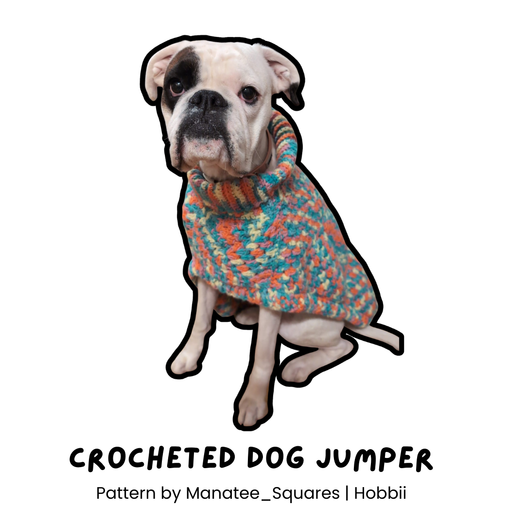 Crocheted dog jumper.png