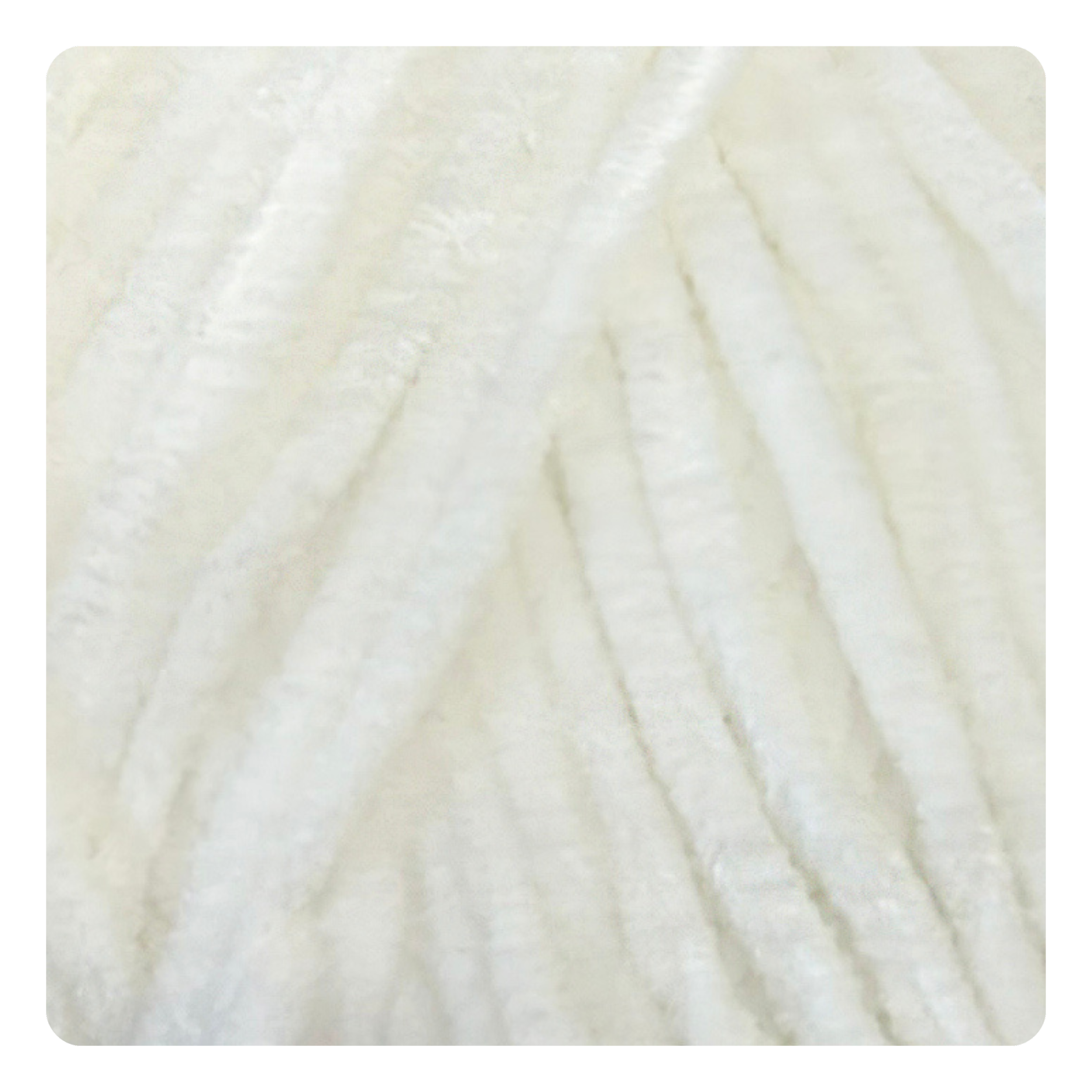 White 5600.png