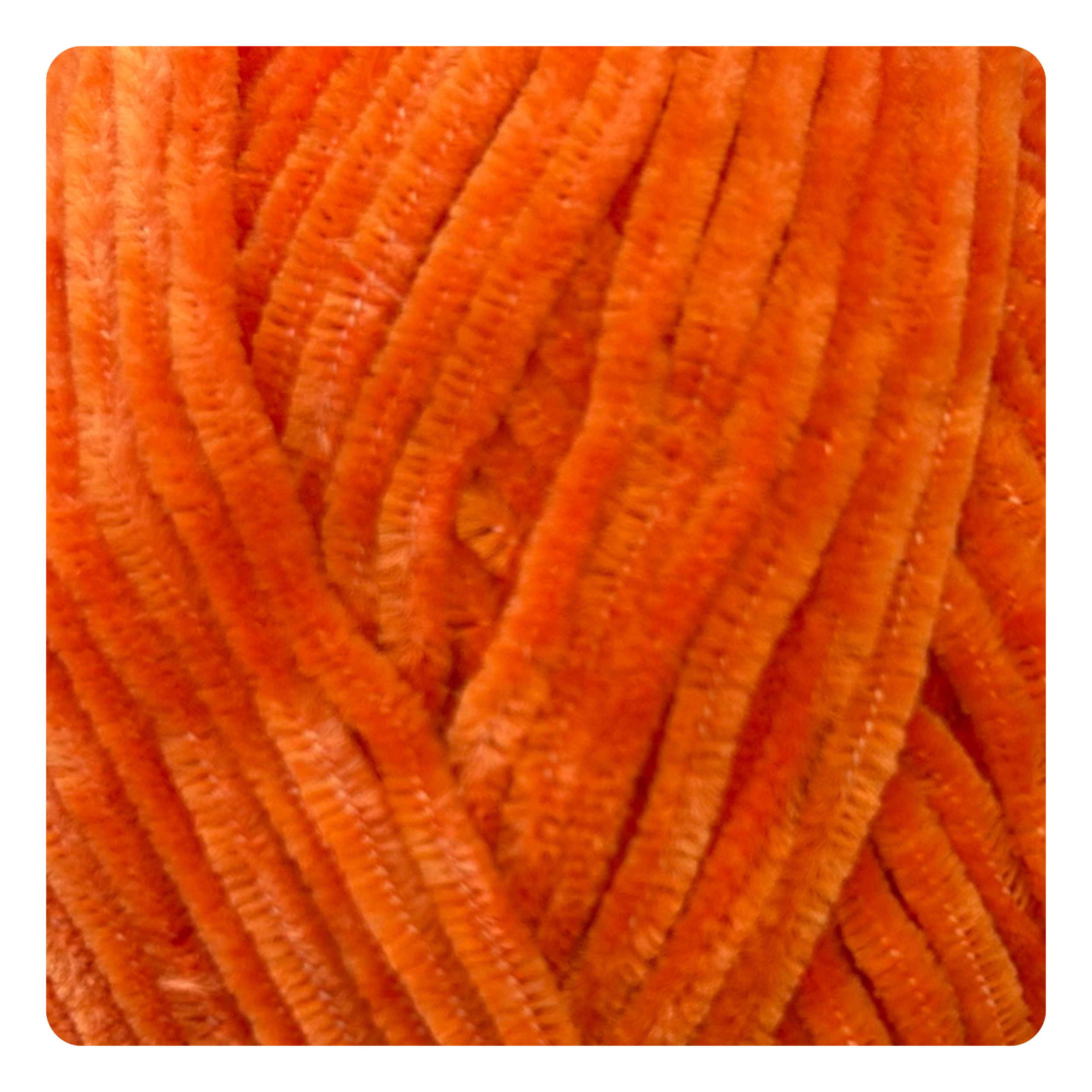 Carrot Orange 5605.png