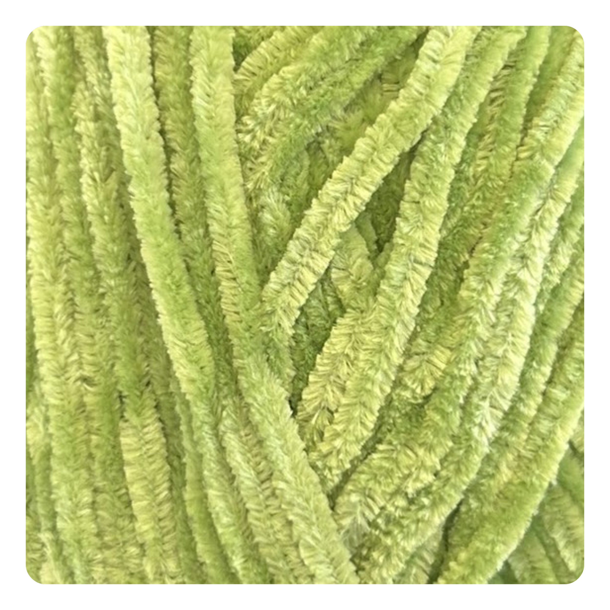Apple green 5614.png