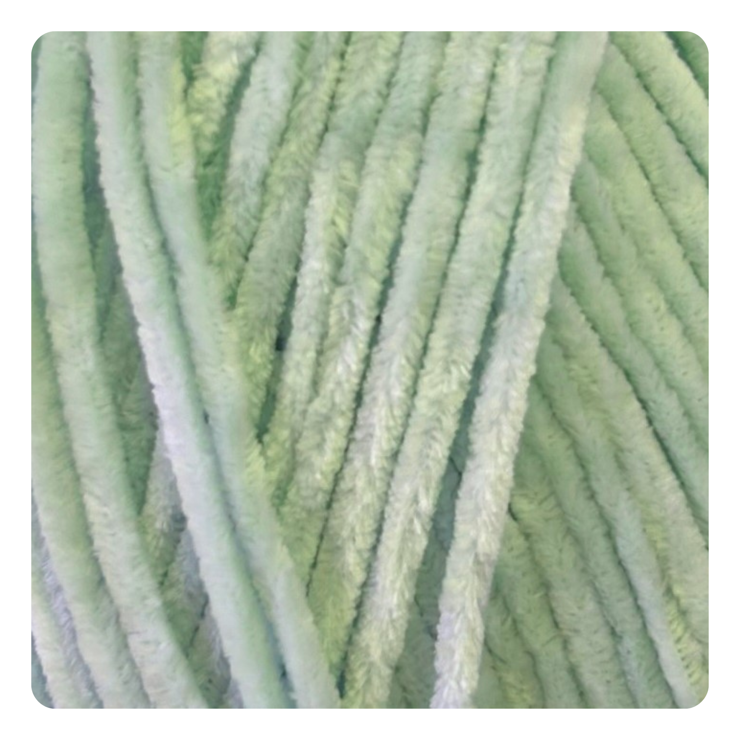 Mint Green 5617.png