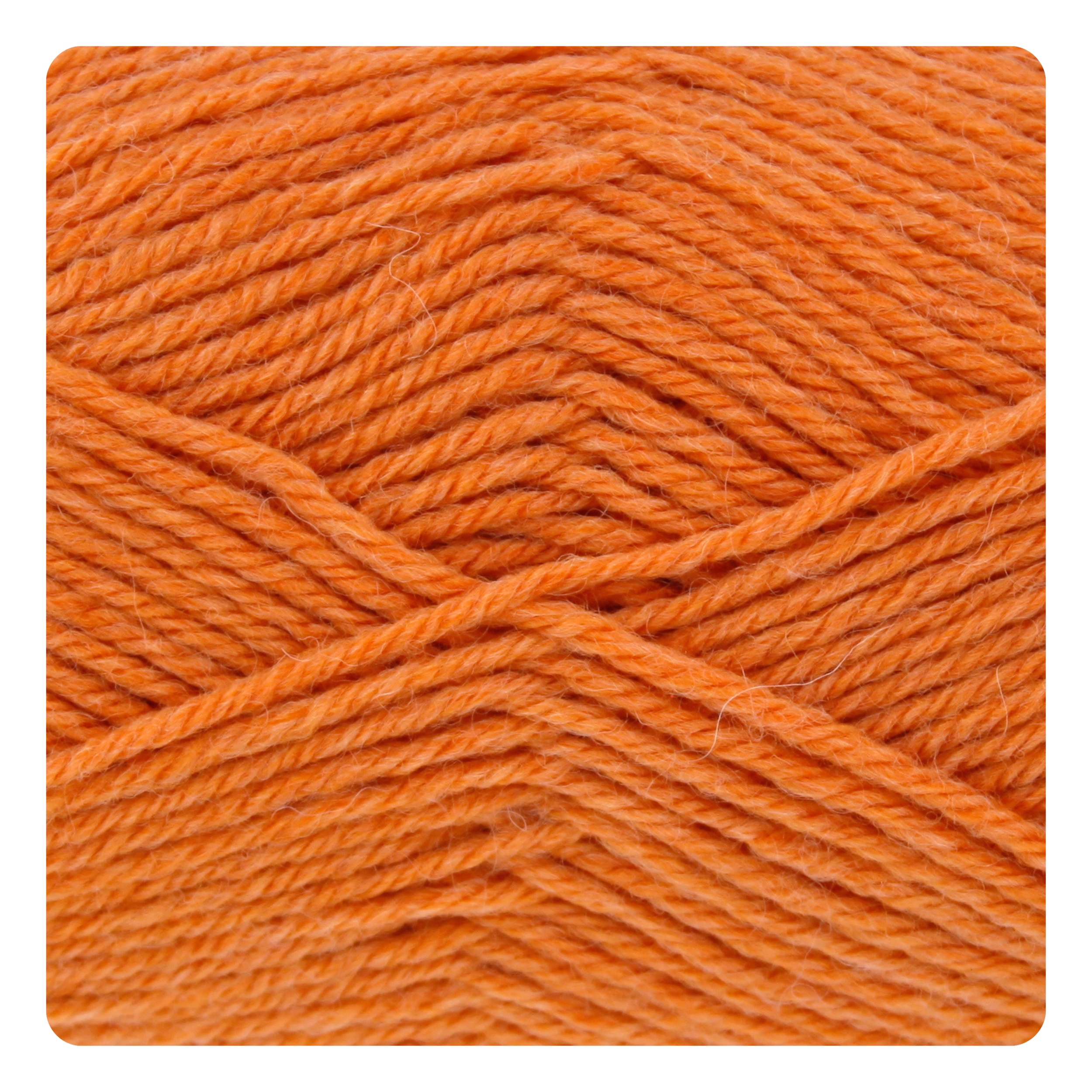 Orange Pippin.png