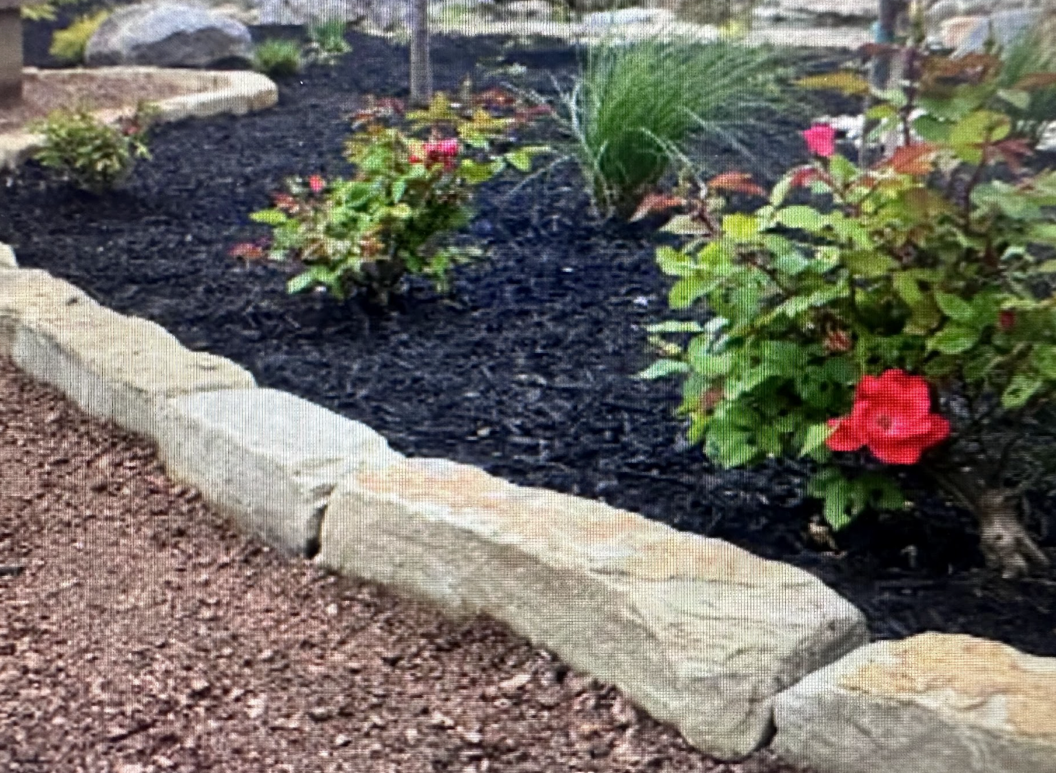 Screenshot 2025-11-25 at 4.10.19 PM.png