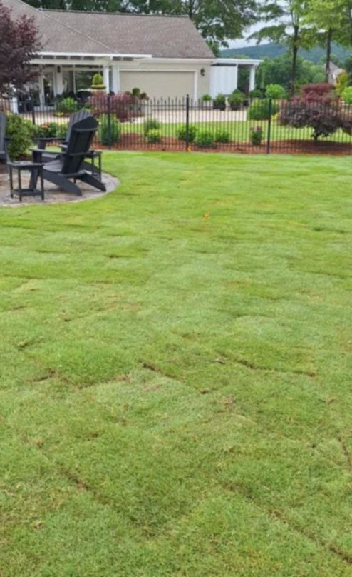 Screenshot 2025-11-25 at 4.12.53 PM.png