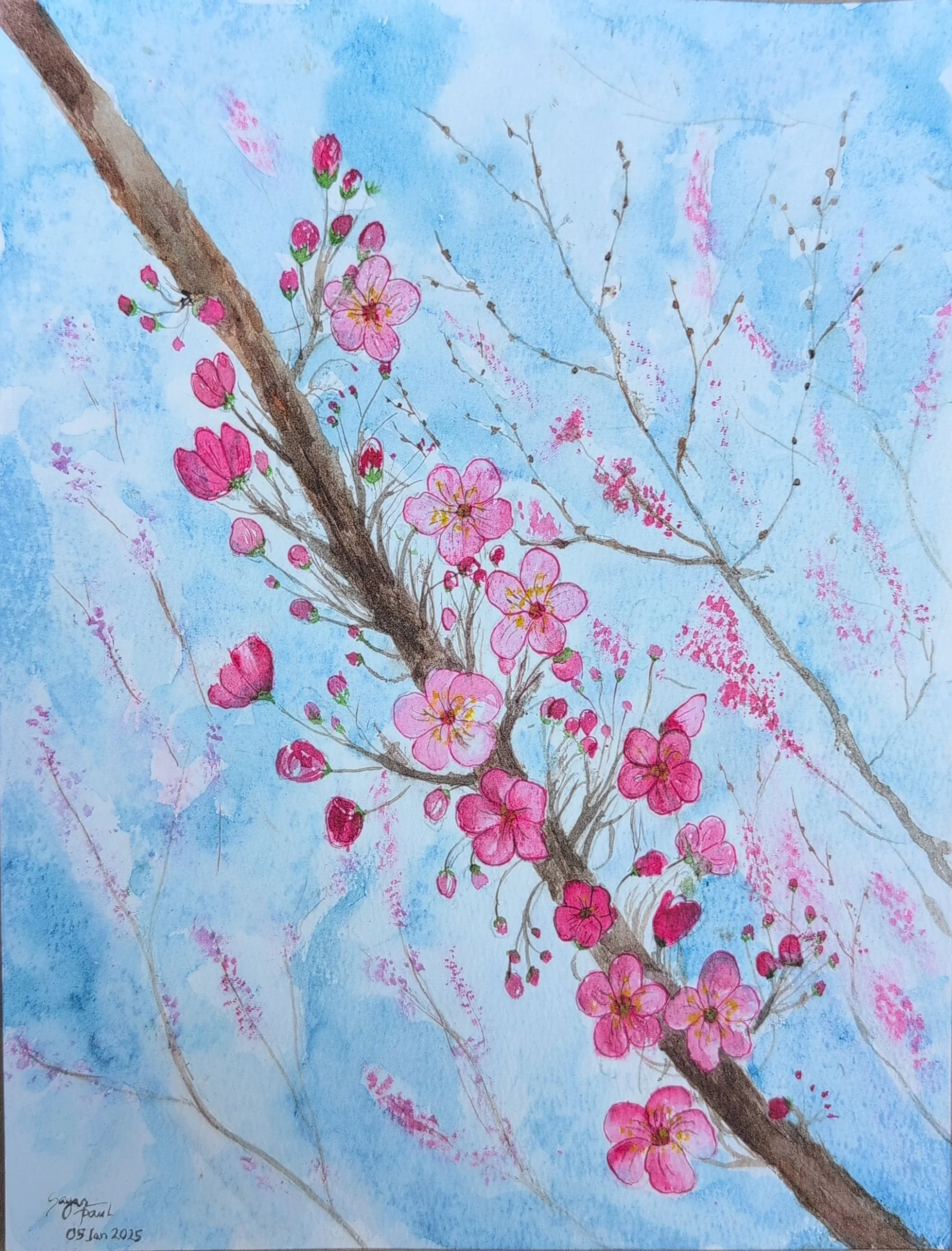 A watercolor painting of pink cherry blossoms on a brown branch against a blue sky background with hints of other branches.