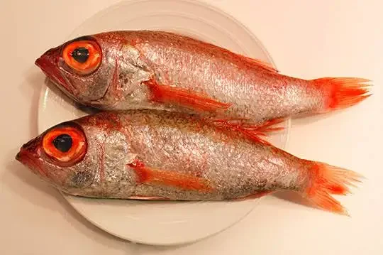 Nodoguro &amp; Shime Saba Nigiri — Traditional Japanese Sushi at Nagisa