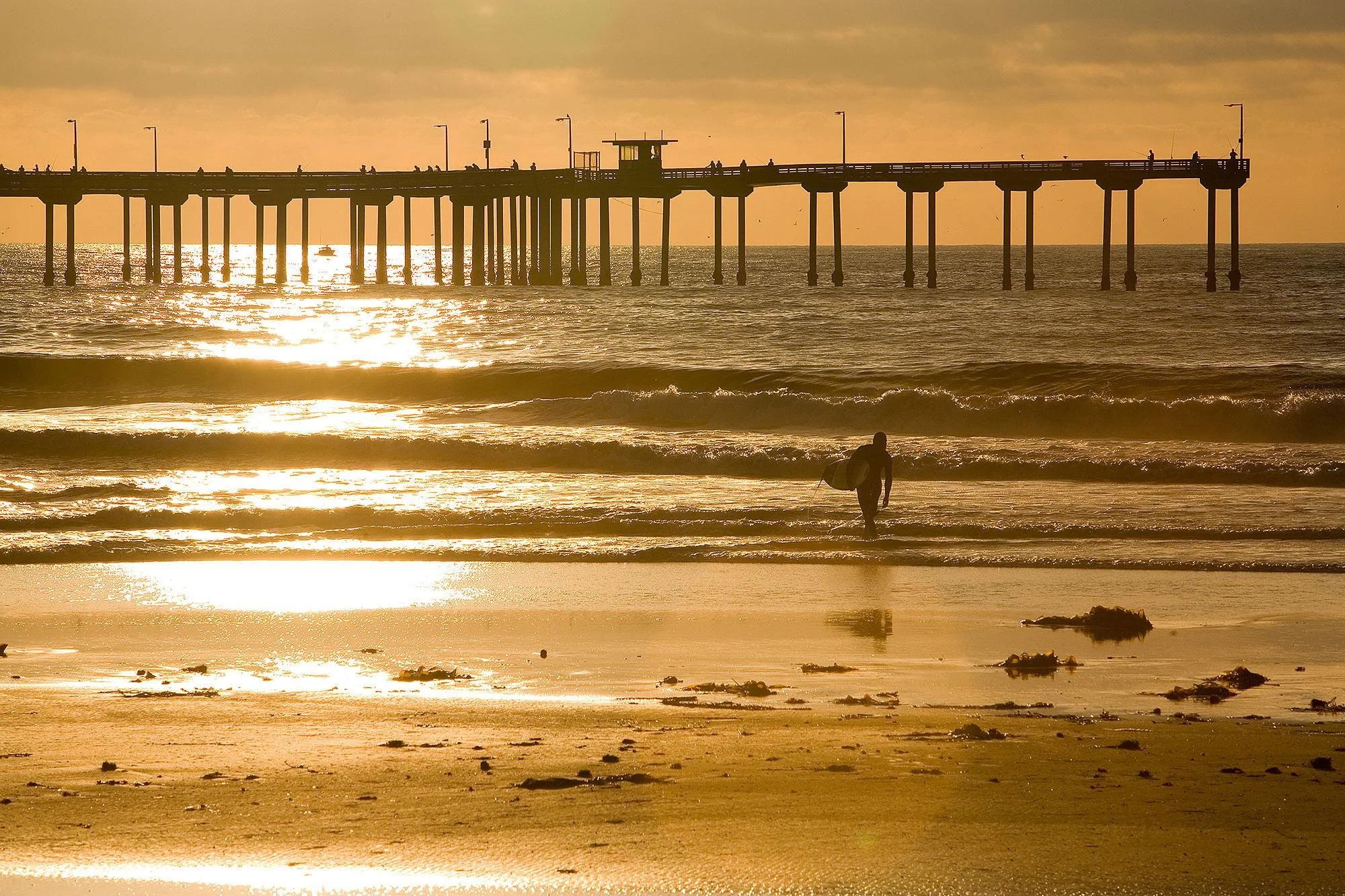 From Ocean Beach to Nagisa Sushi: A Story of Surf, Family, and Community