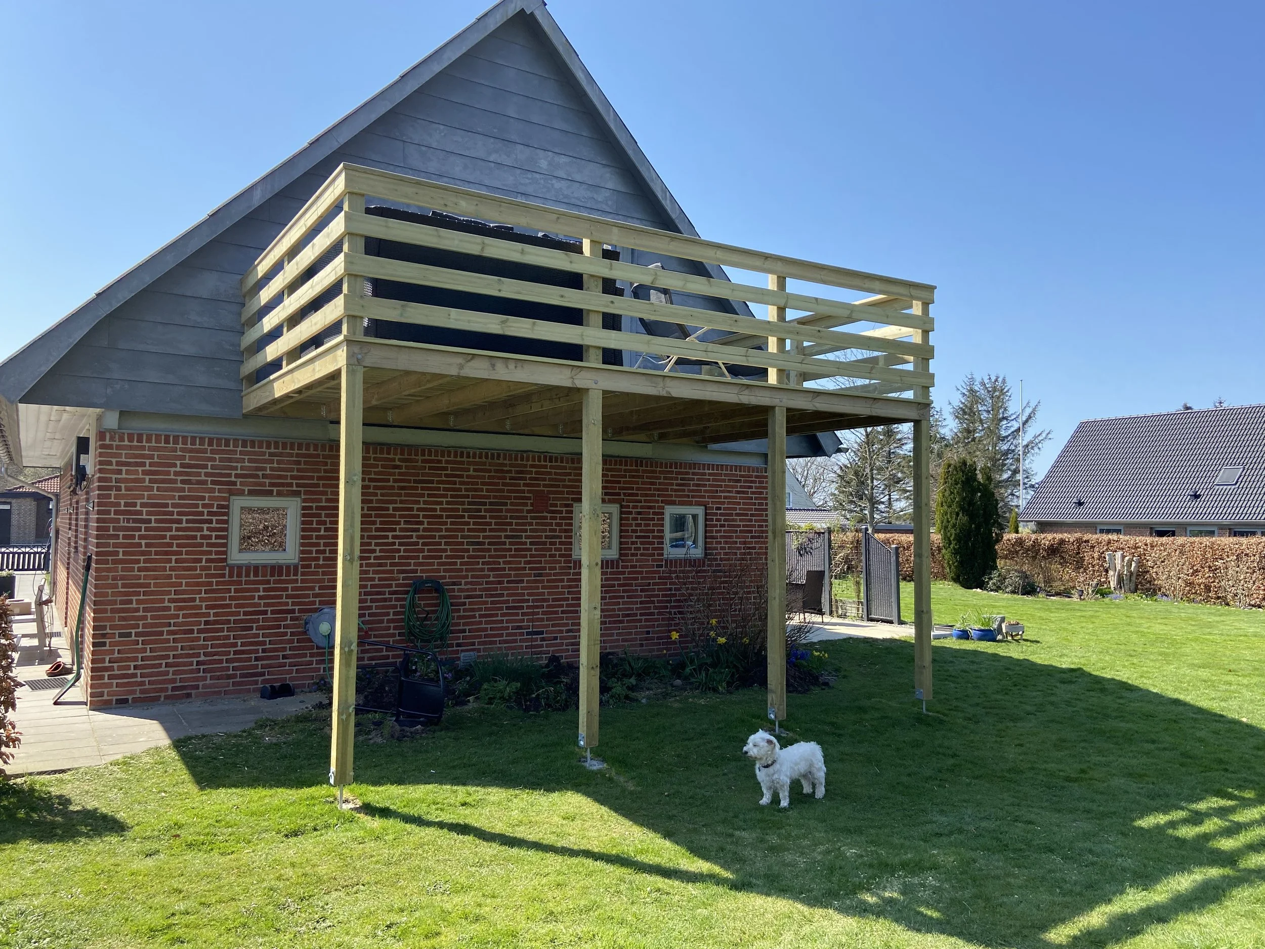 Hus med en terrasse under opbygning i en have med grøn græs og en hund.