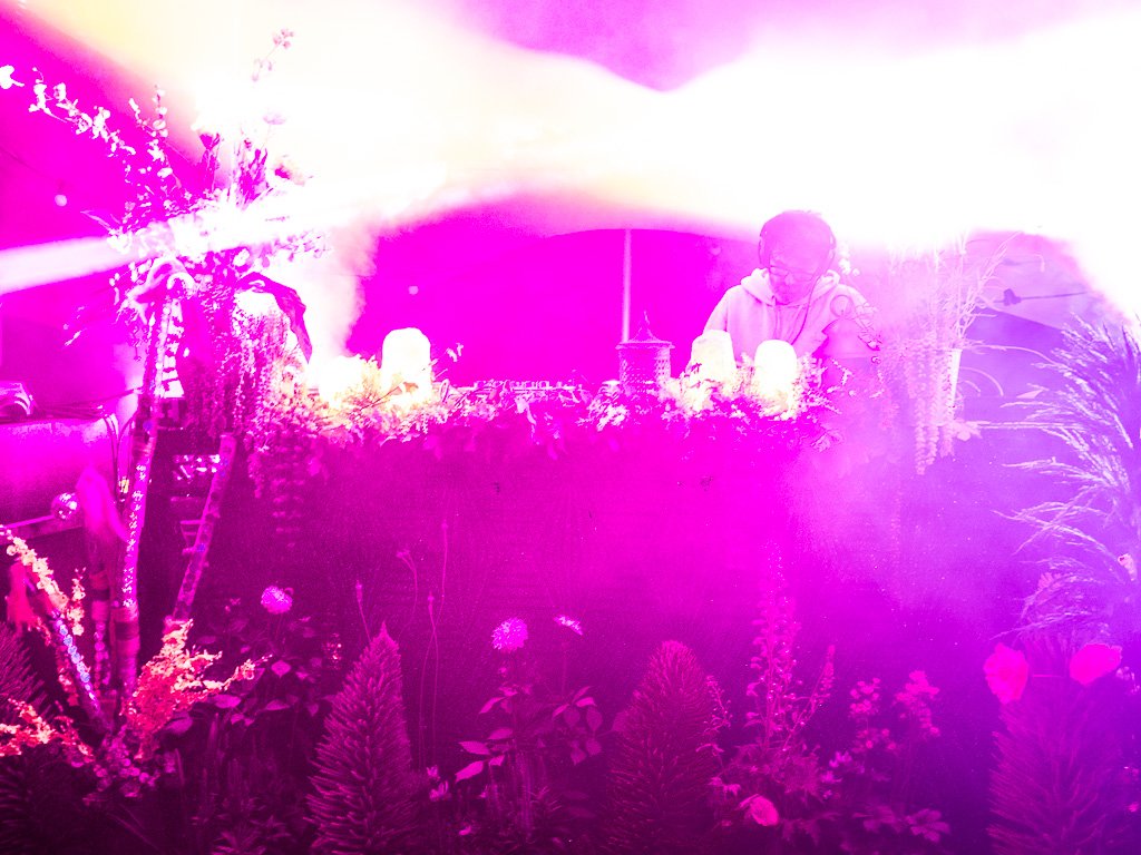 myldn book hi res-7.jpg