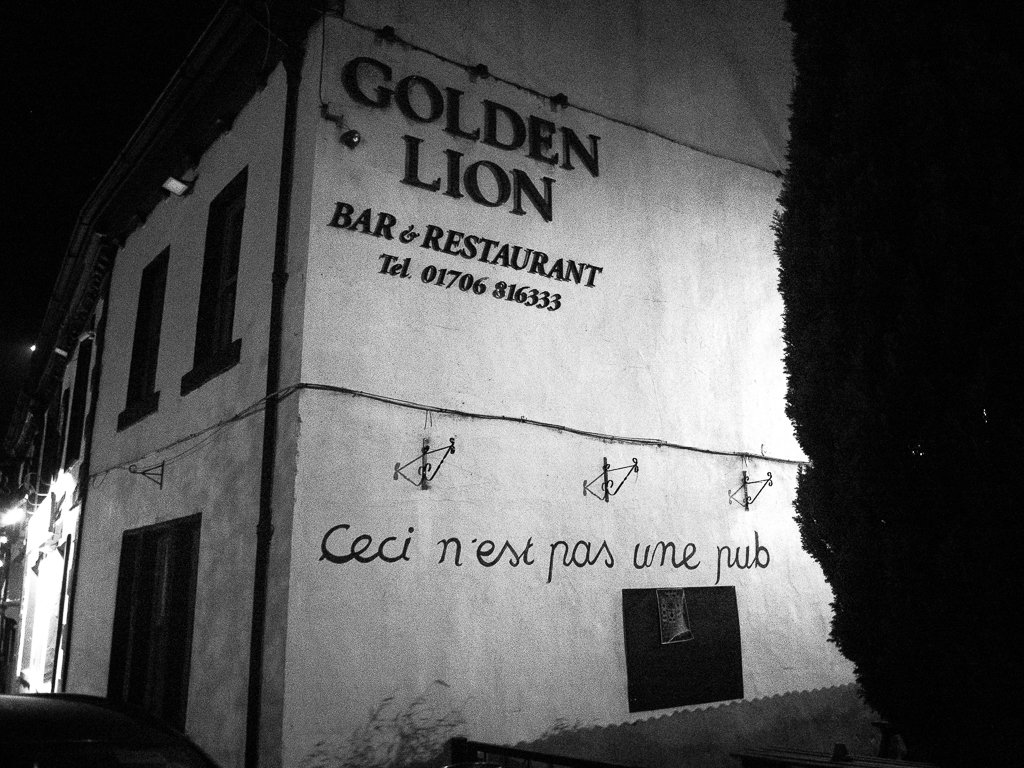 golden lion_-82.jpg