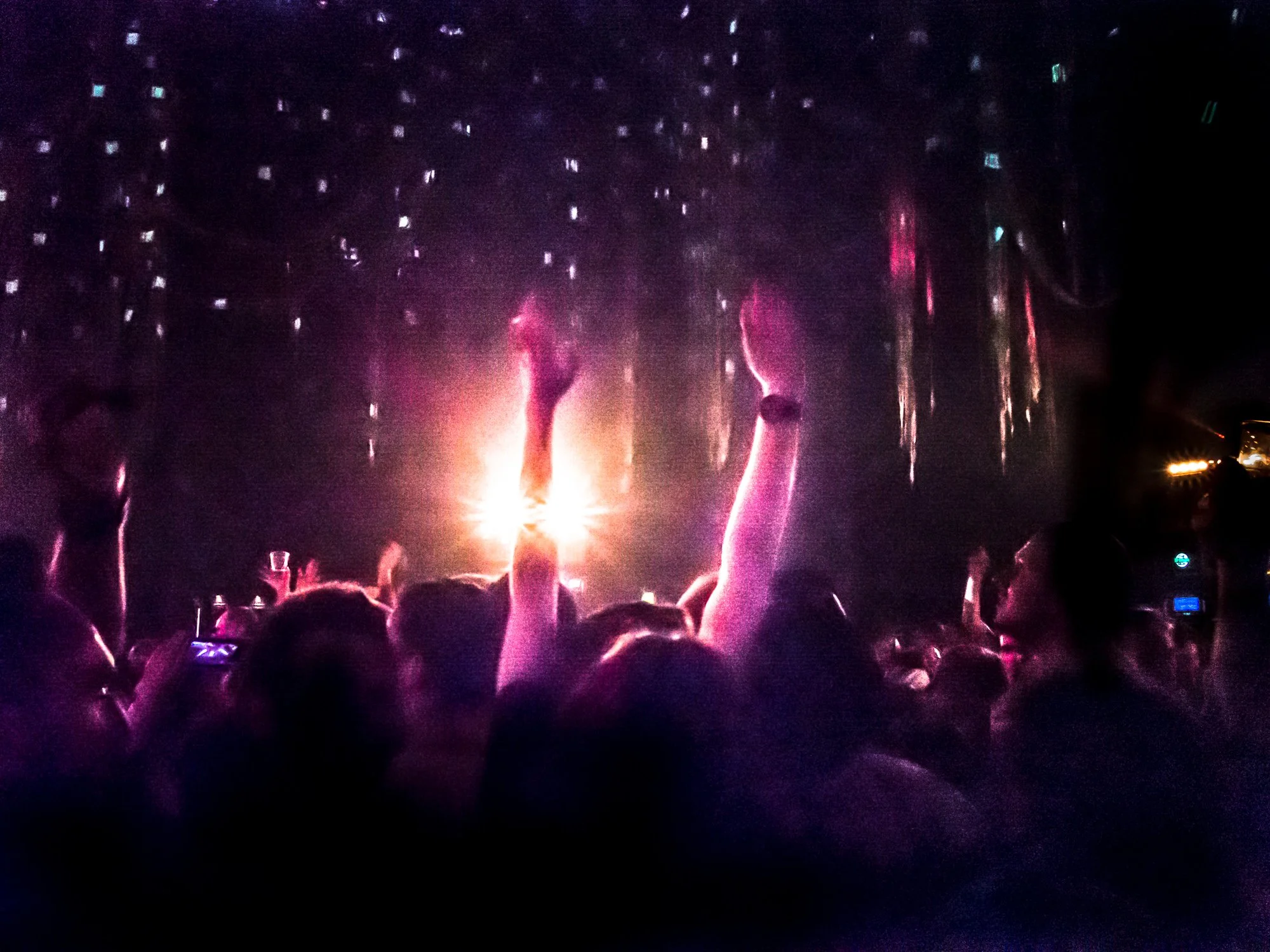 despacio jungle roundhouse-29.jpg