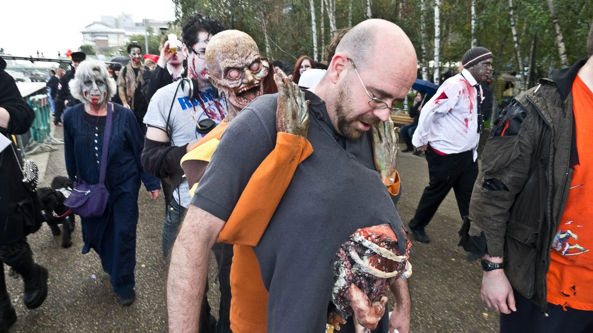 wzd 12-29.jpg