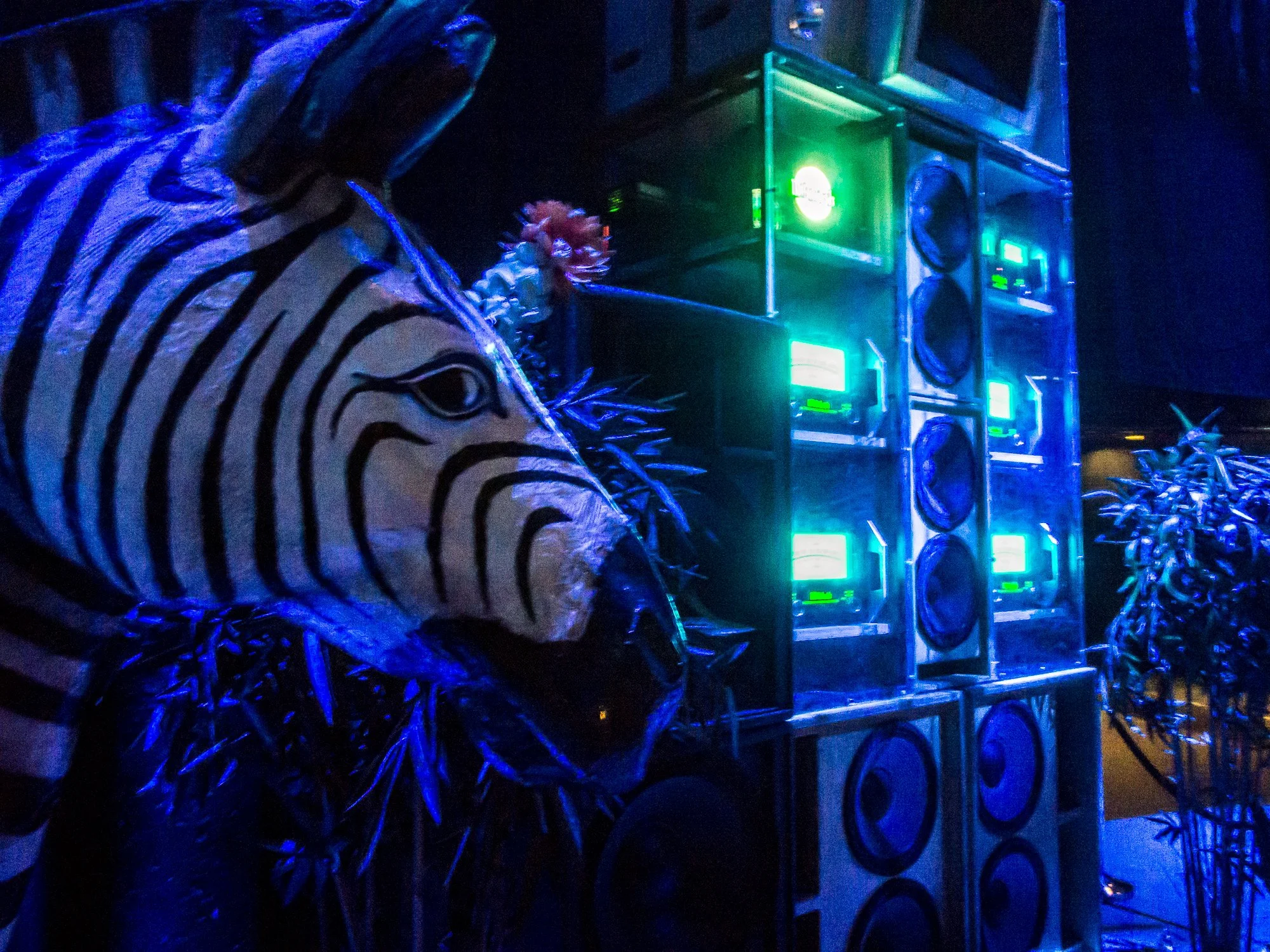 despacio jungle roundhouse-1.jpg