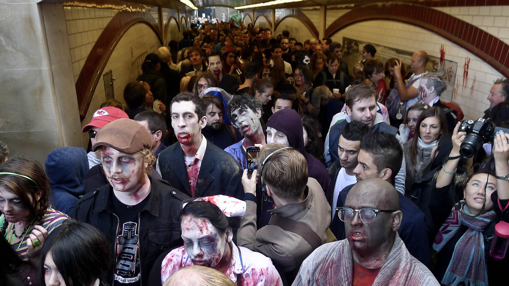 wzd 12-37.jpg