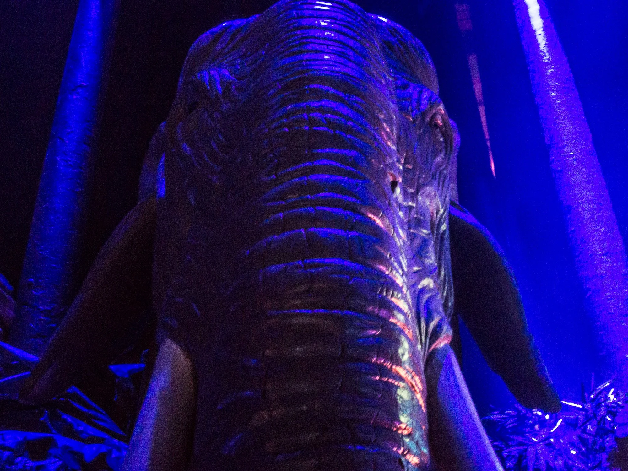 despacio jungle roundhouse-14.jpg