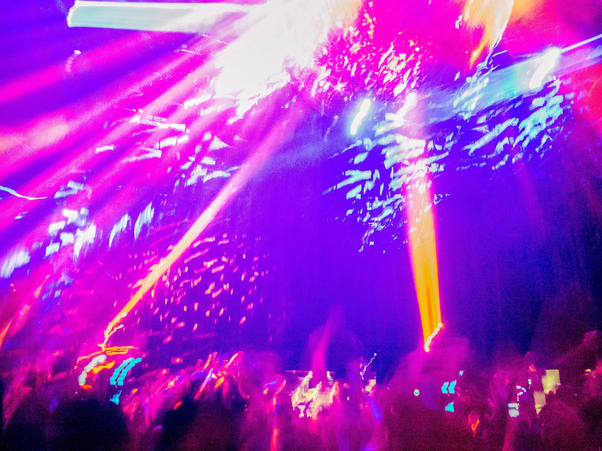 despacio jungle roundhouse-18.jpg