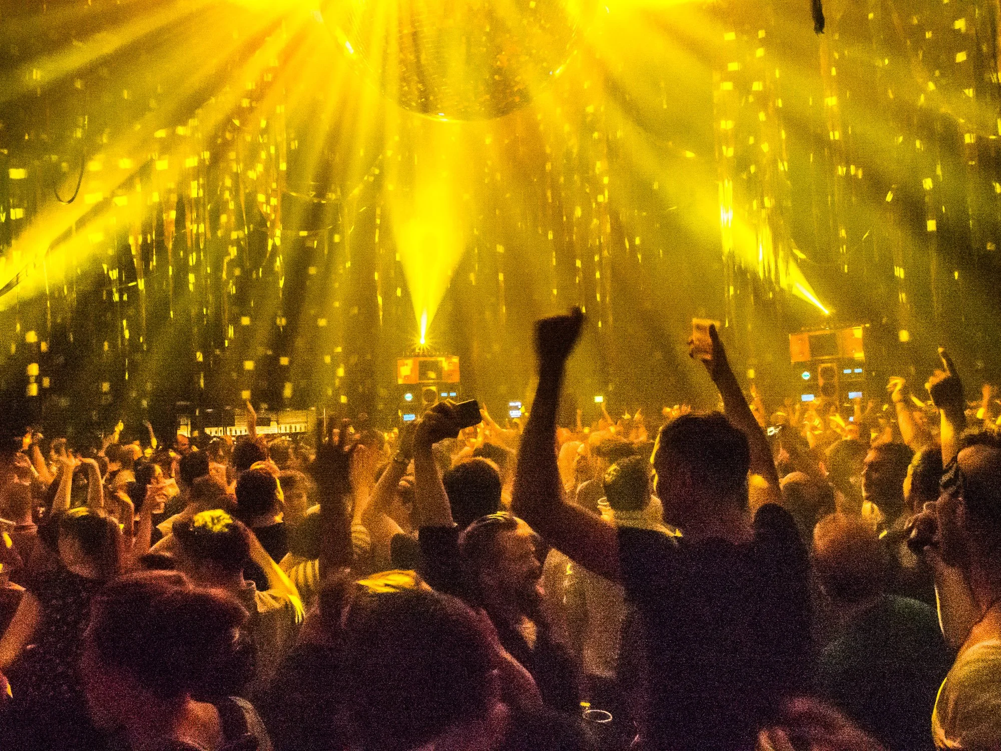 despacio jungle roundhouse-45.jpg