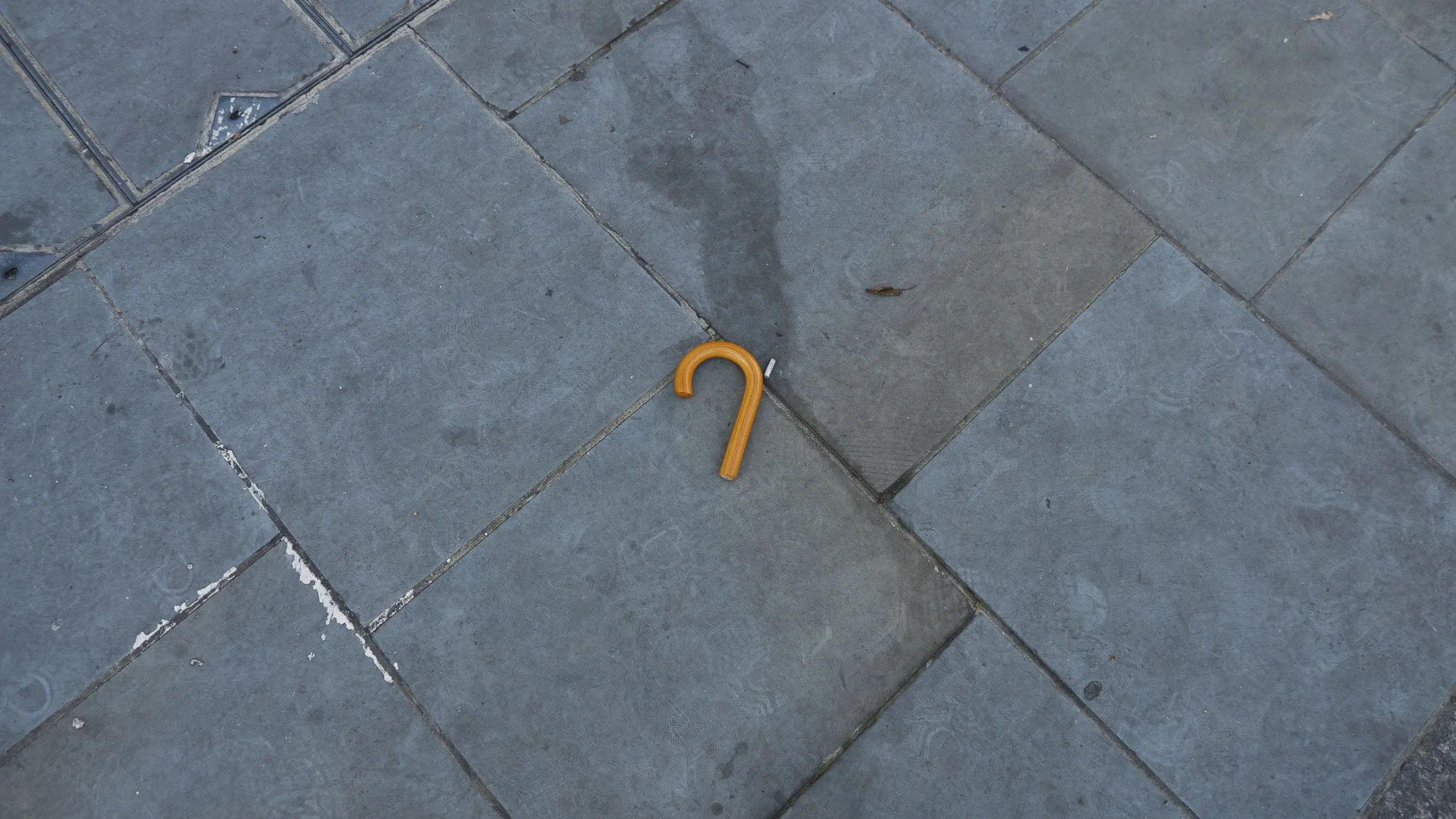 pavement art-36.jpg