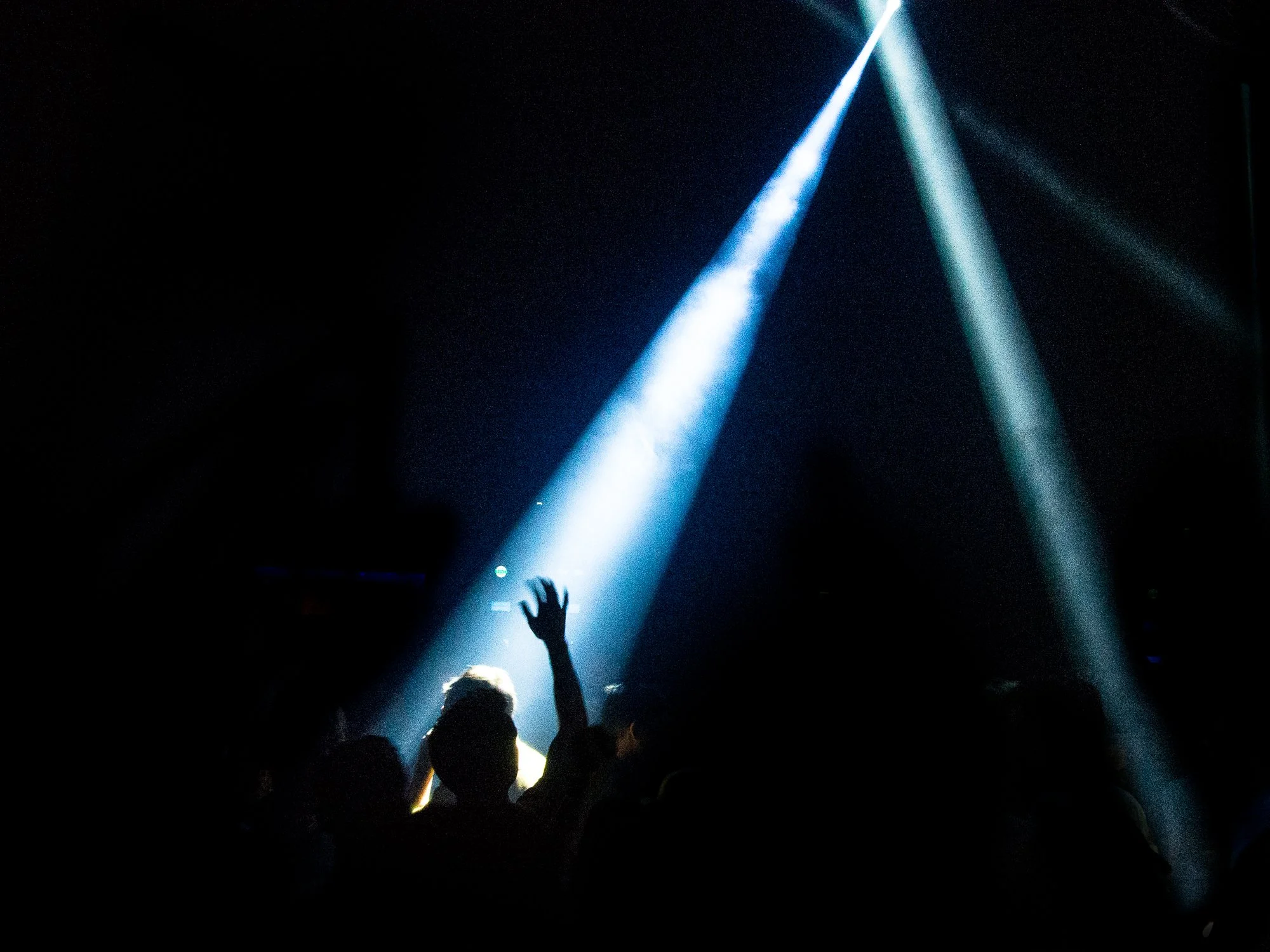 despacio jungle roundhouse-13.jpg