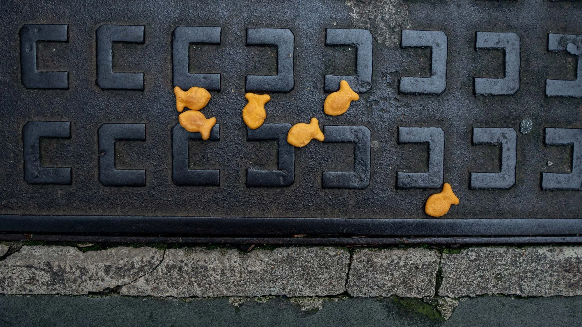 pavement art-77.jpg