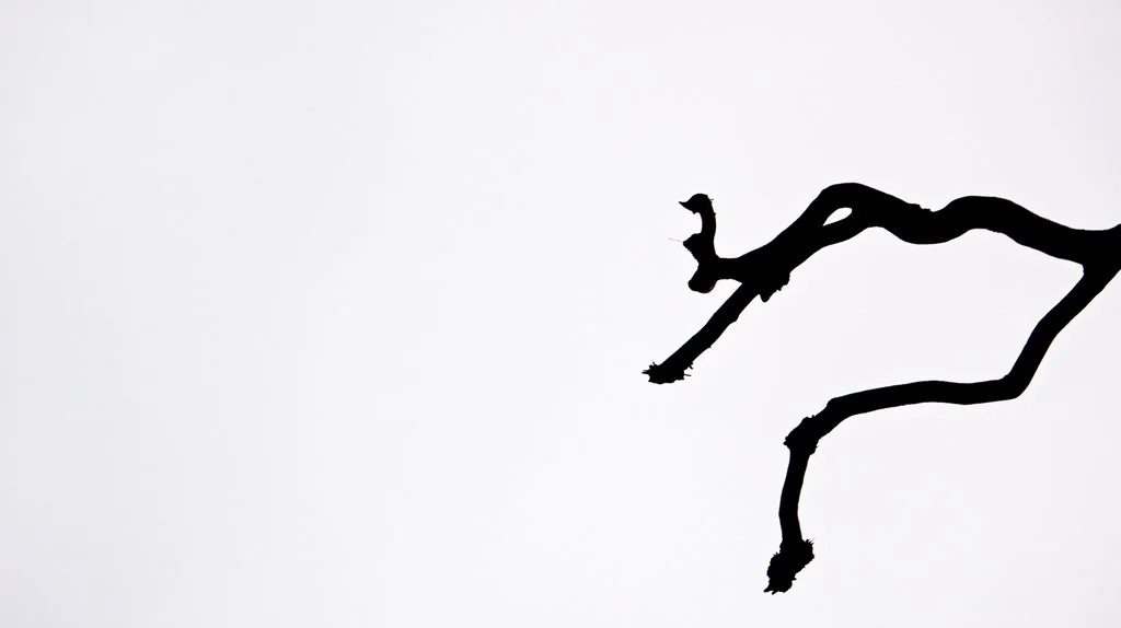 secret 10.jpg