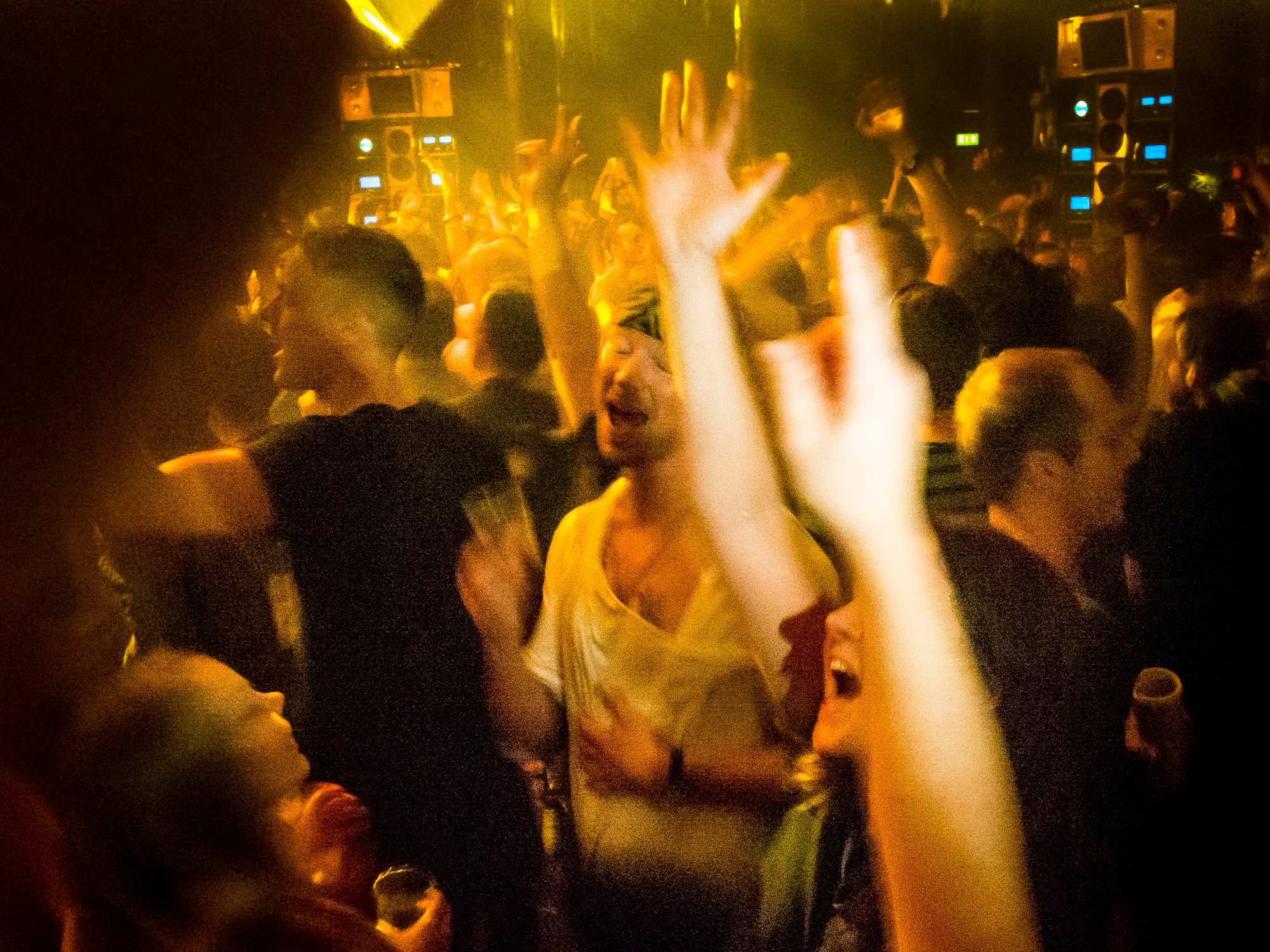 despacio jungle roundhouse-47.jpg