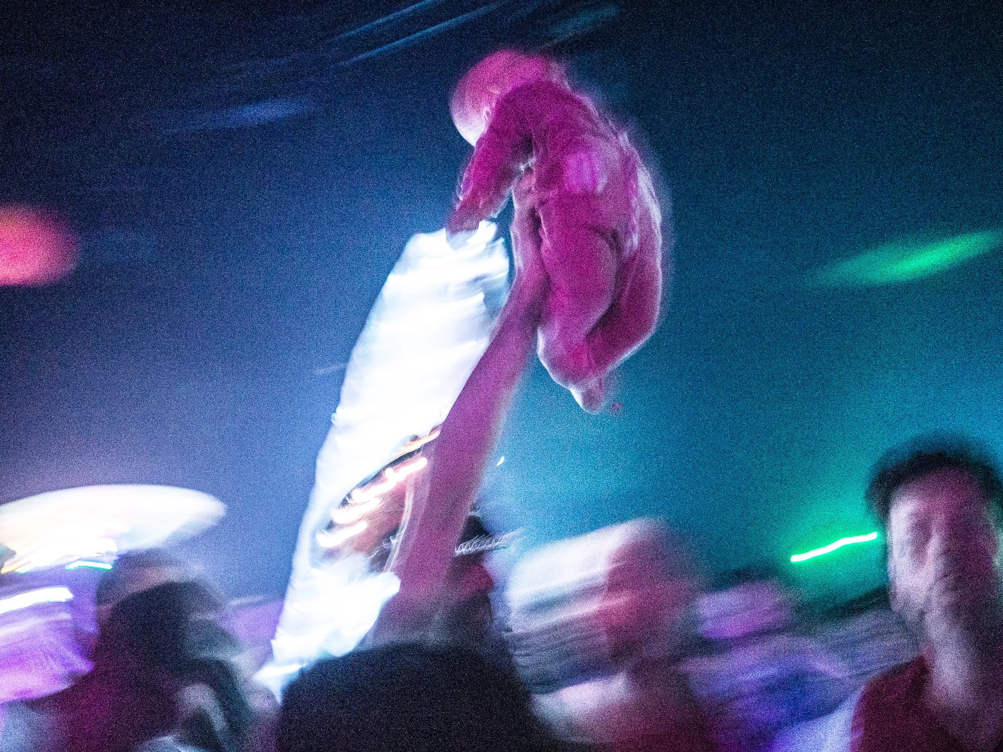 despacio sonar 18-42.jpg