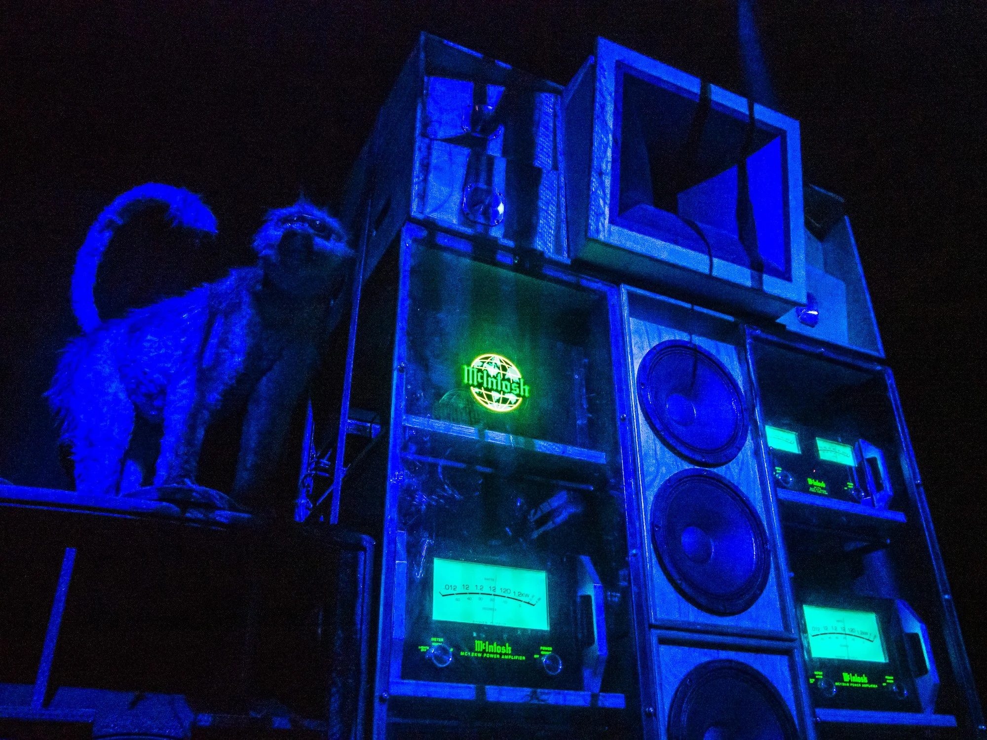 despacio jungle roundhouse-7.jpg