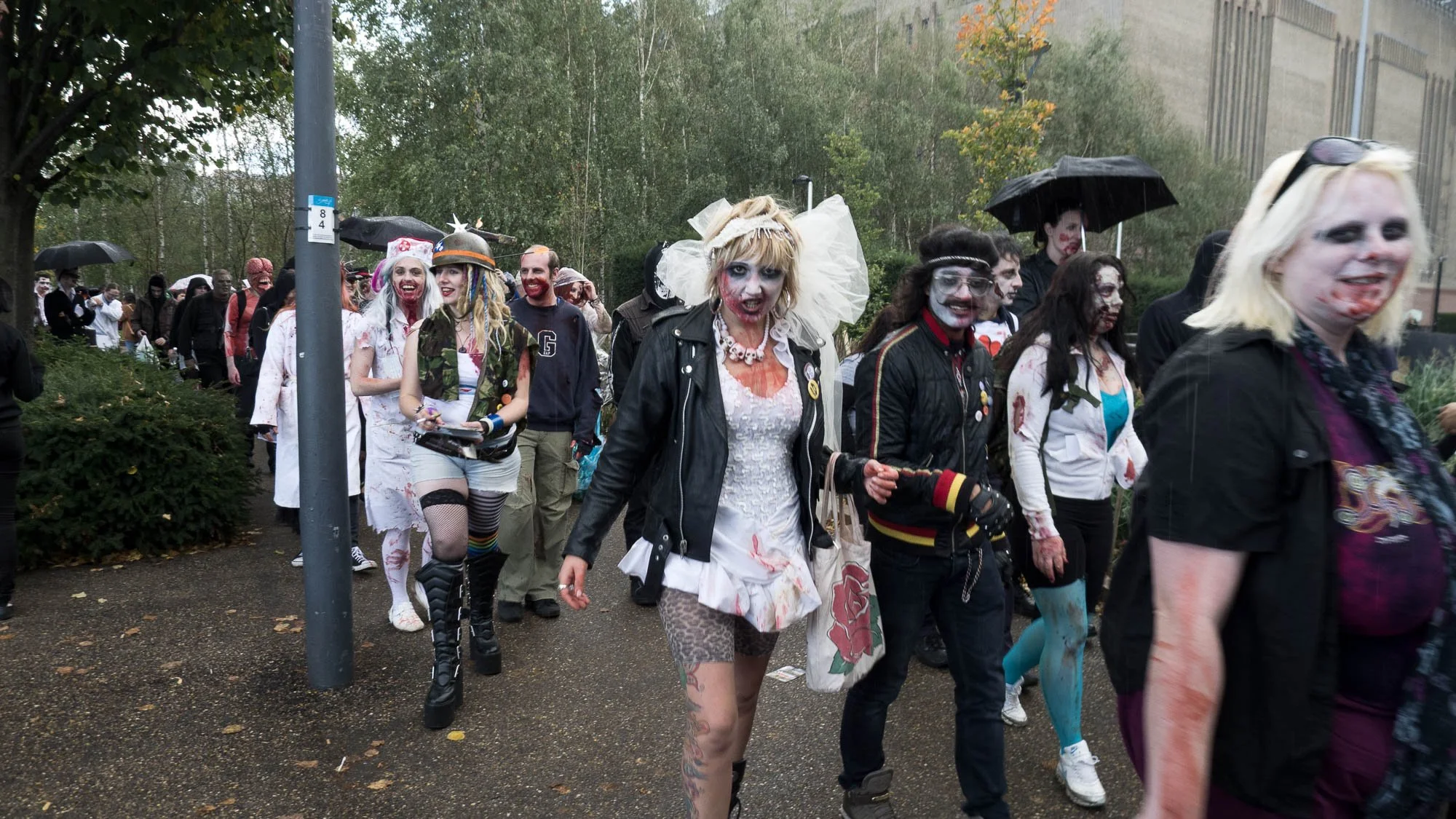 wzd 12-30.jpg