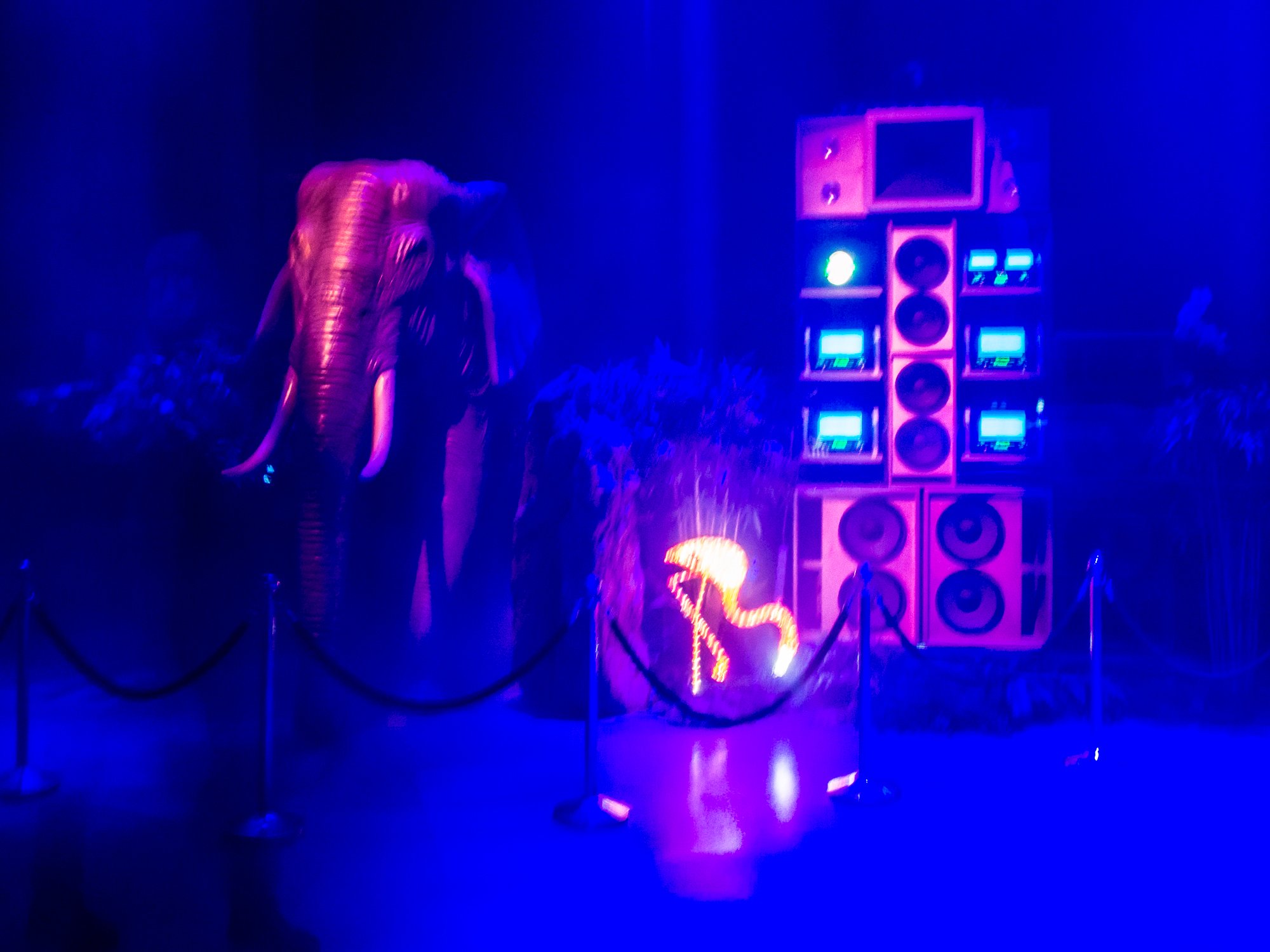 despacio jungle roundhouse-23.jpg