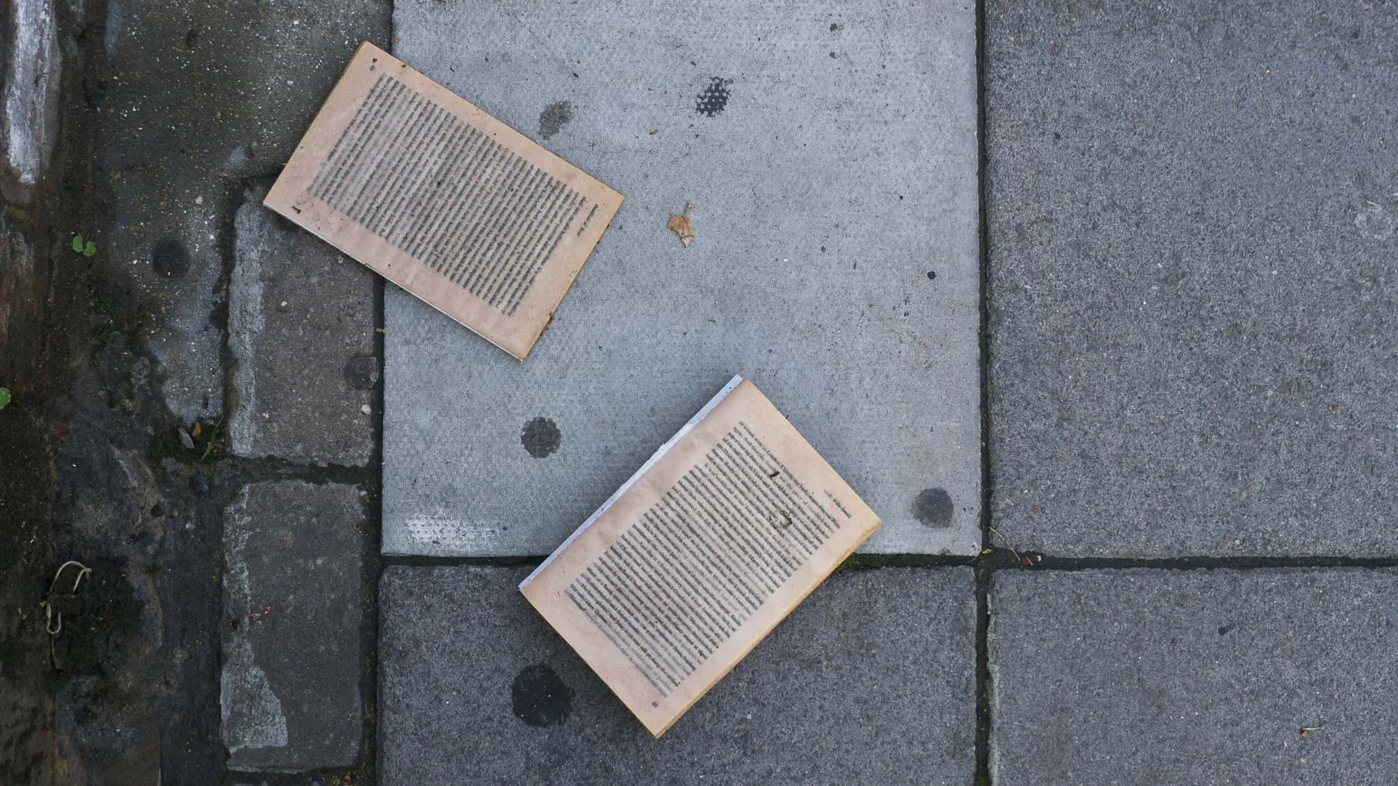pavement art-35.jpg