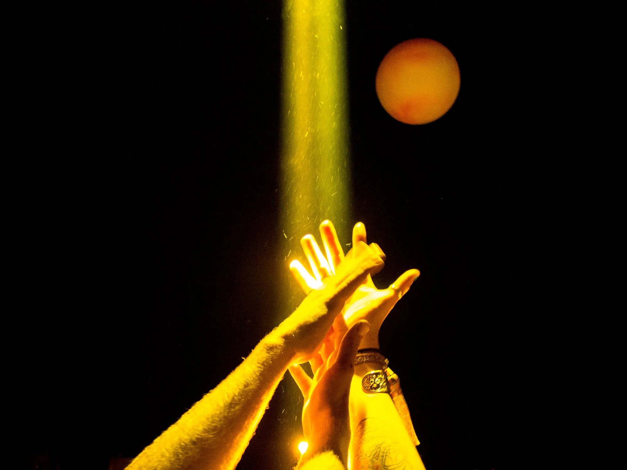 despacio glasto_-7.jpg