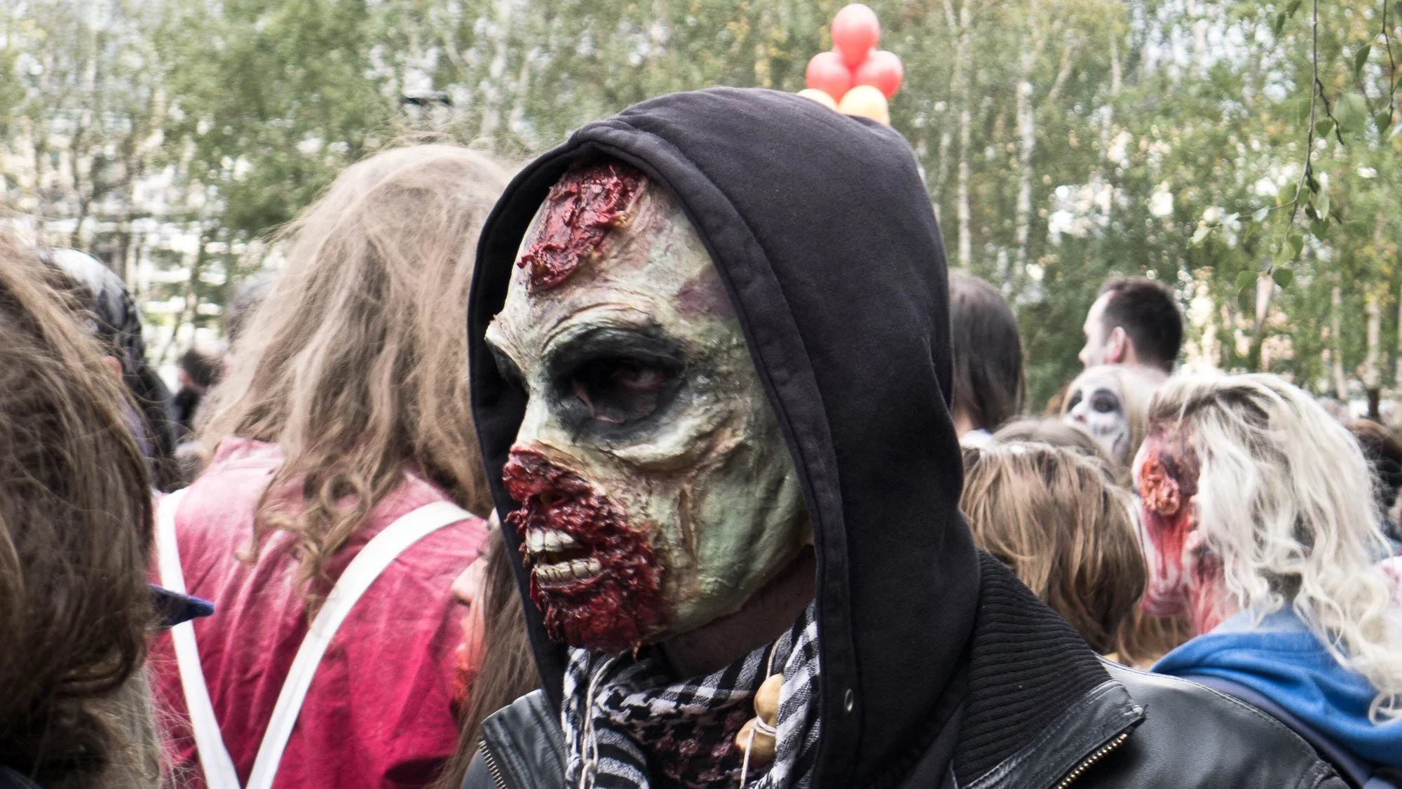 wzd 12-24.jpg