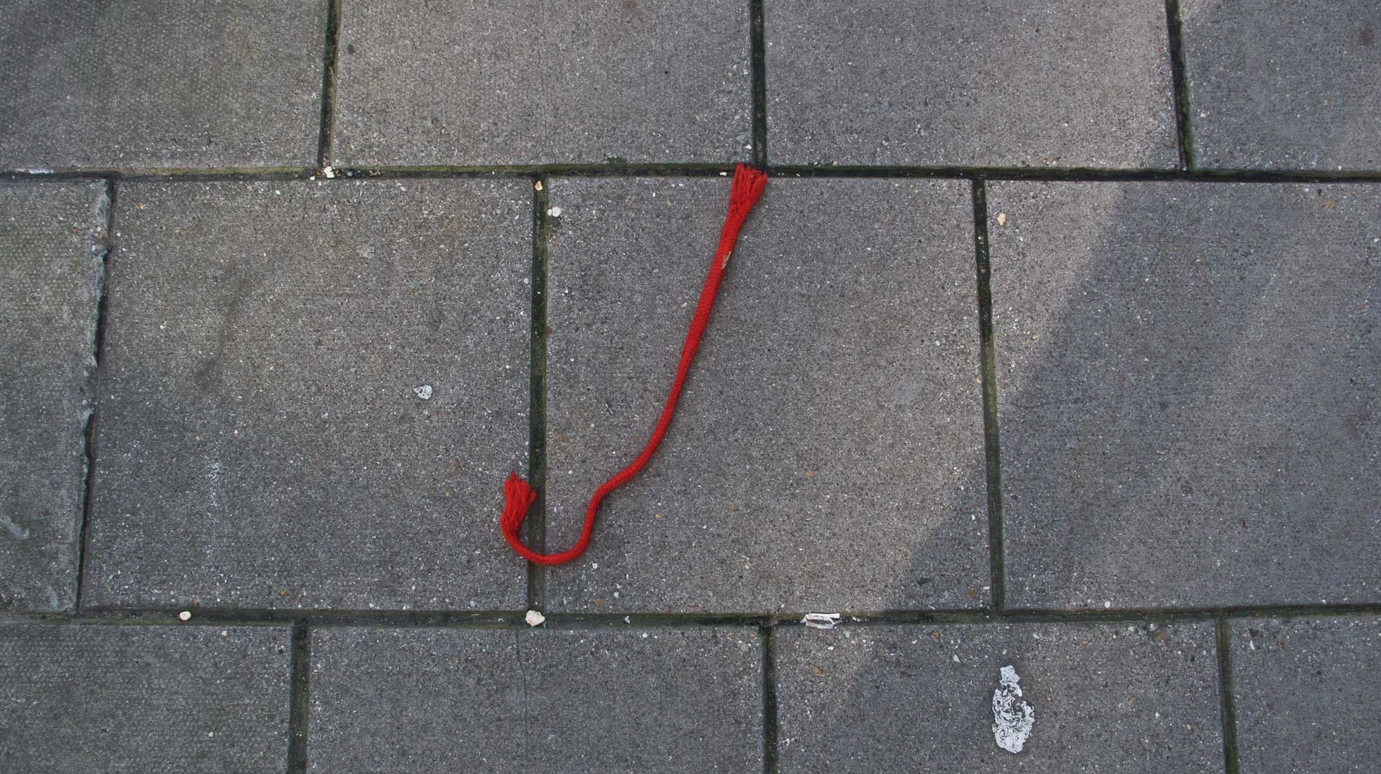 pavement art-25.jpg