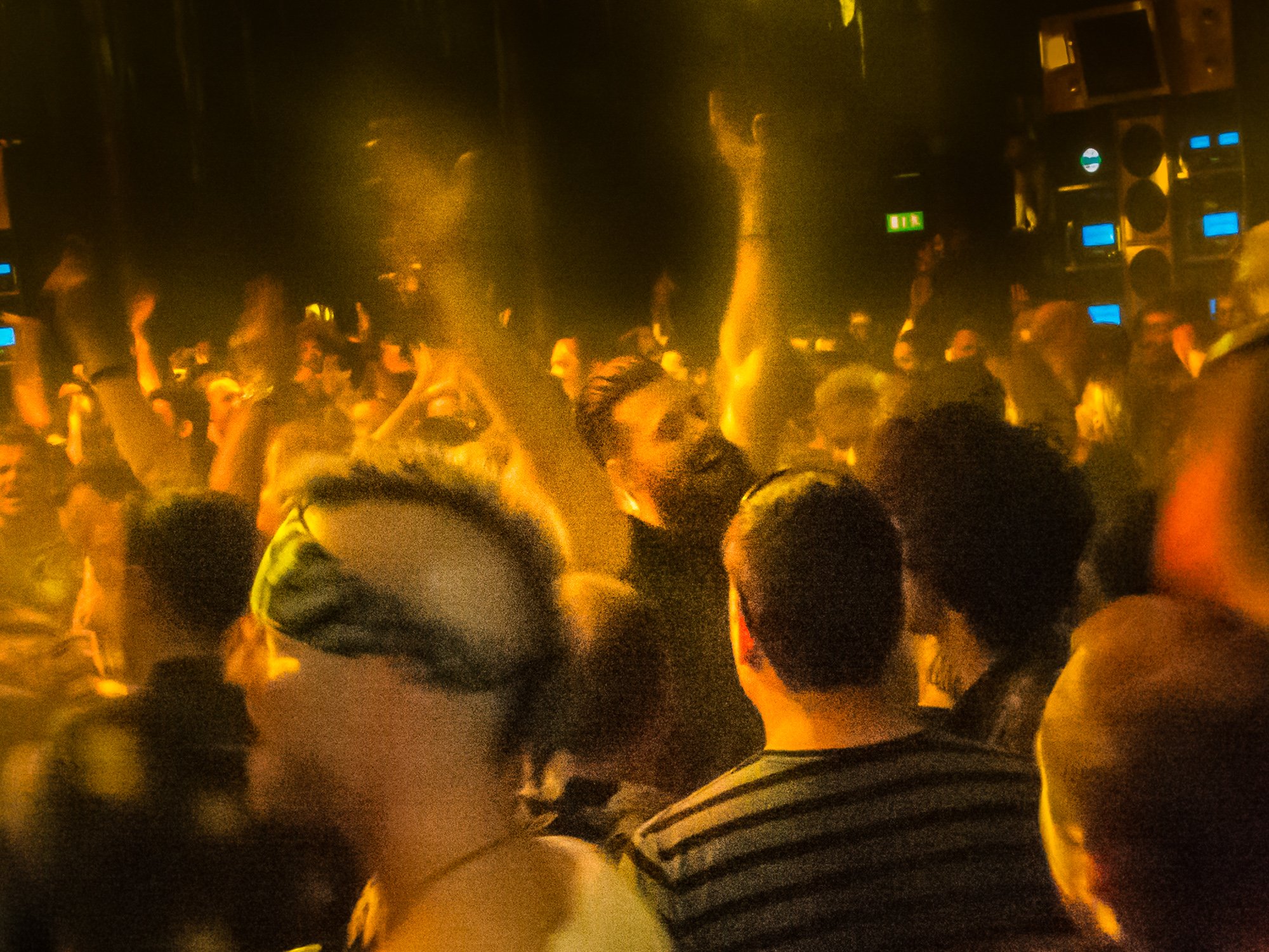 despacio jungle roundhouse-46.jpg