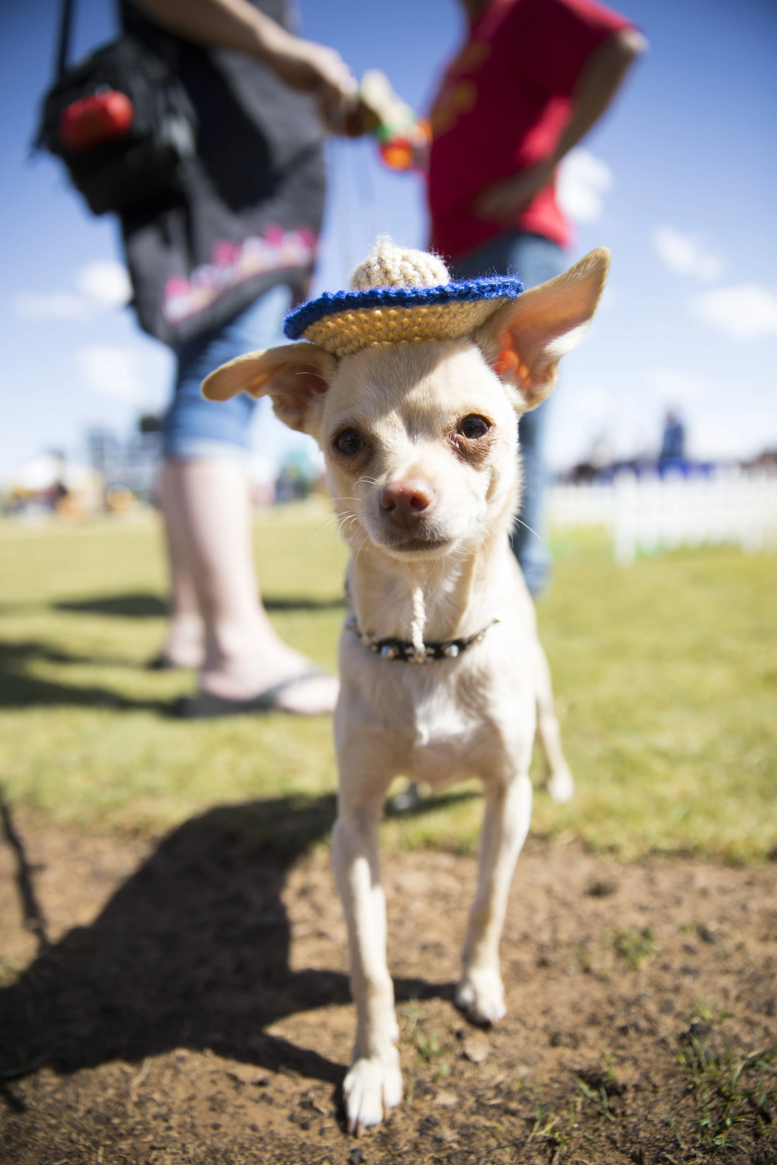 Tequila Taco & Cerveza Festival037.jpg